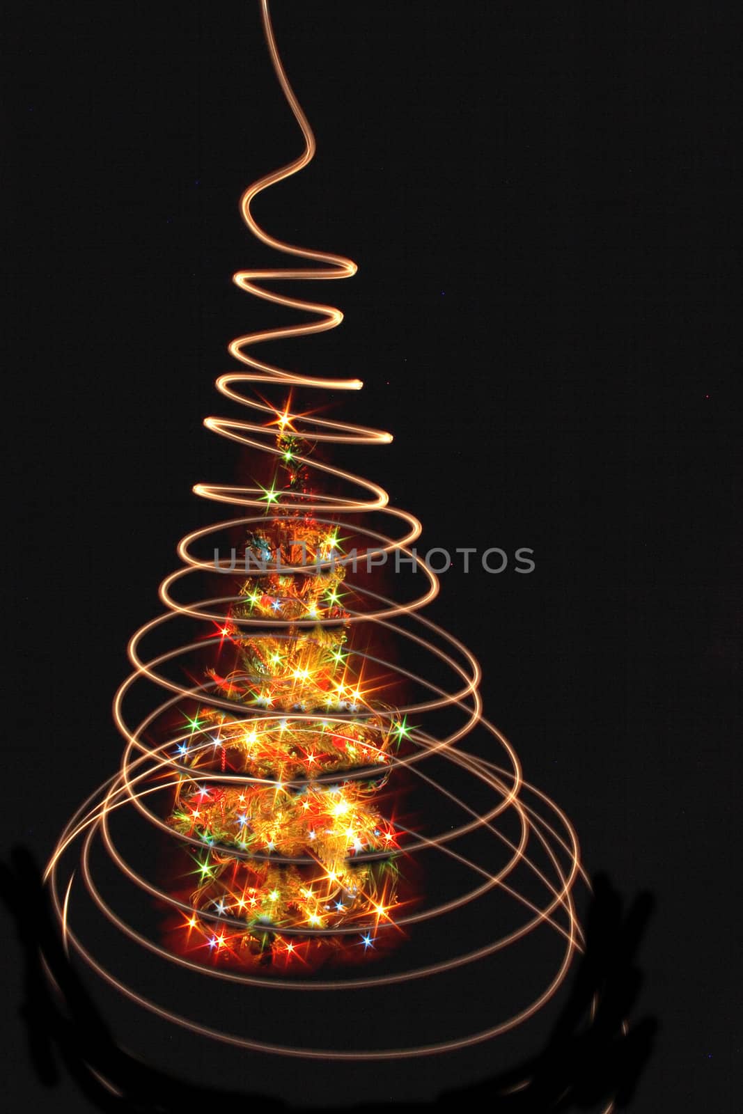 xmas tree isolated on the black background