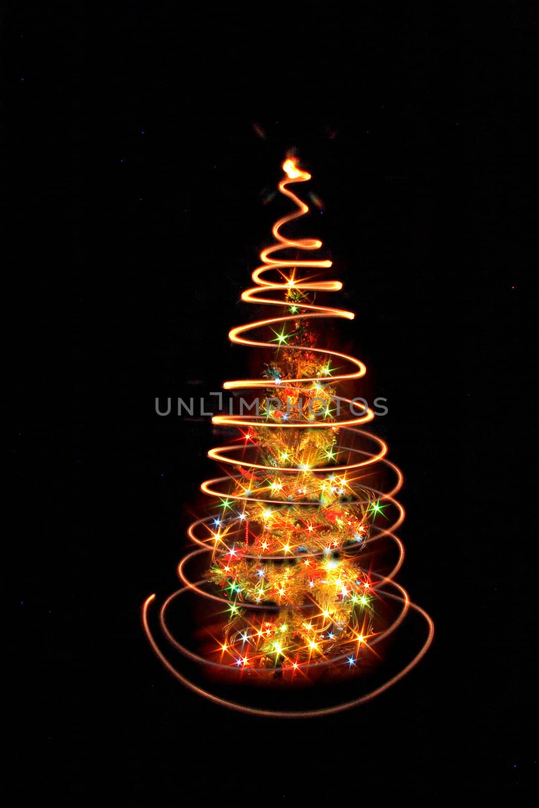 xmas tree isolated on the black background