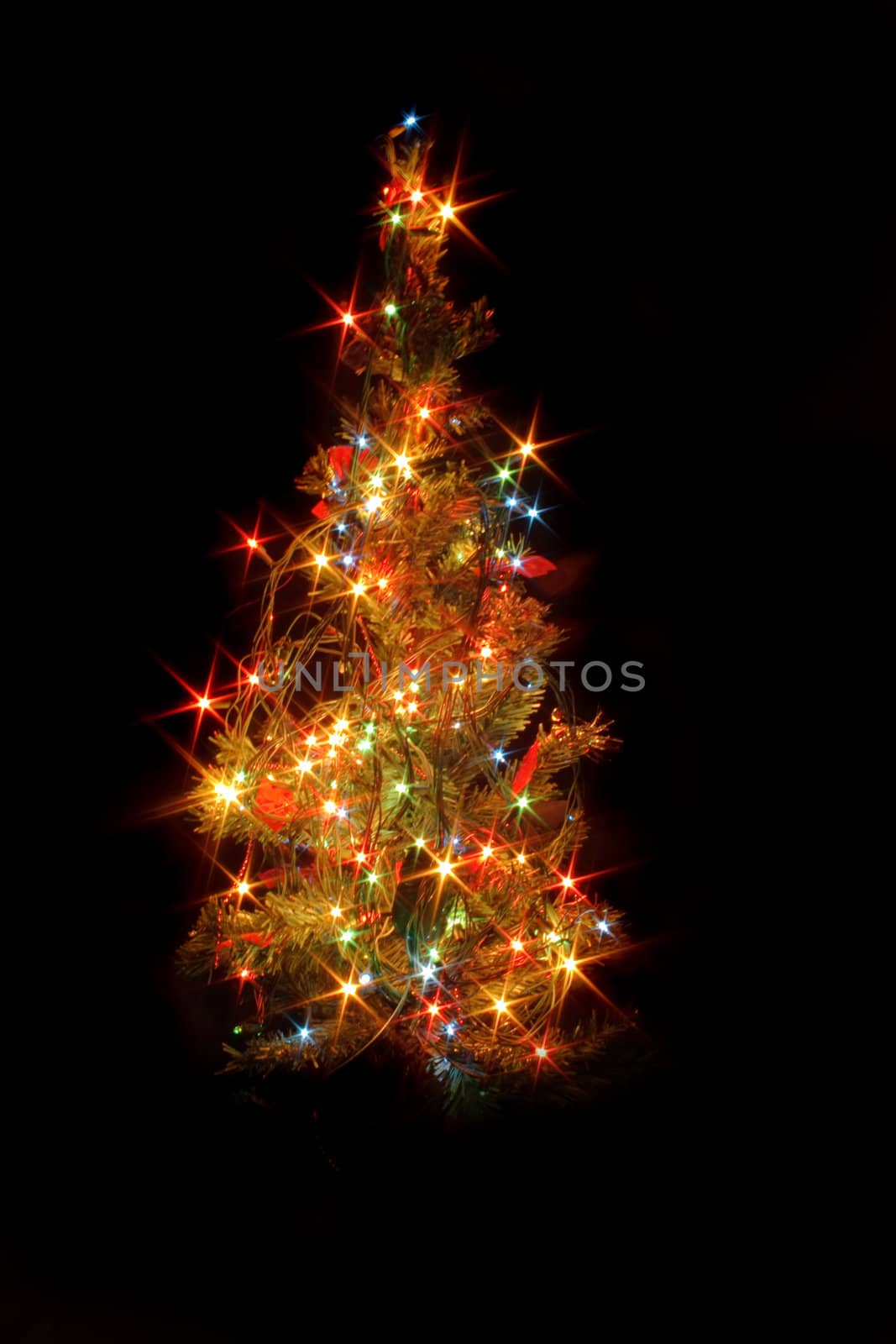 xmas tree from the lights on the black background