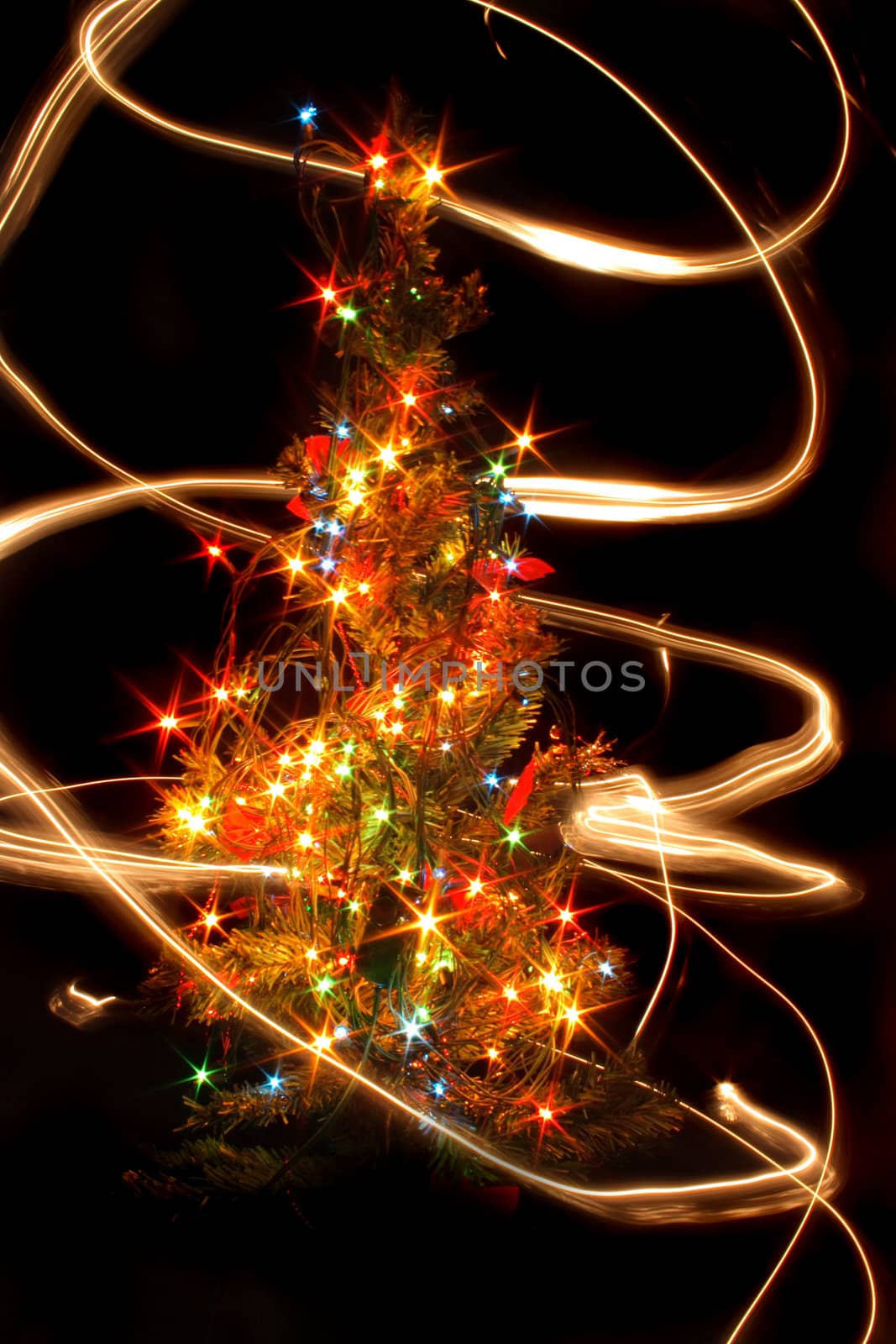 xmas tree from the lights on the black background