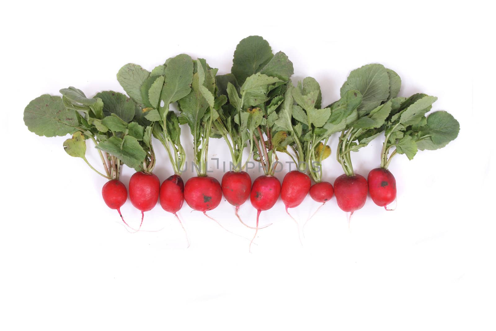 red radishes isolated on the white background