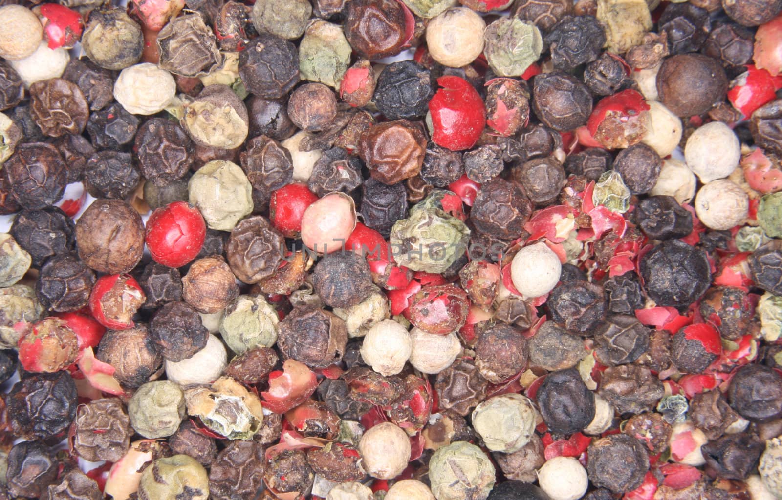 spice background from the color pepper spice