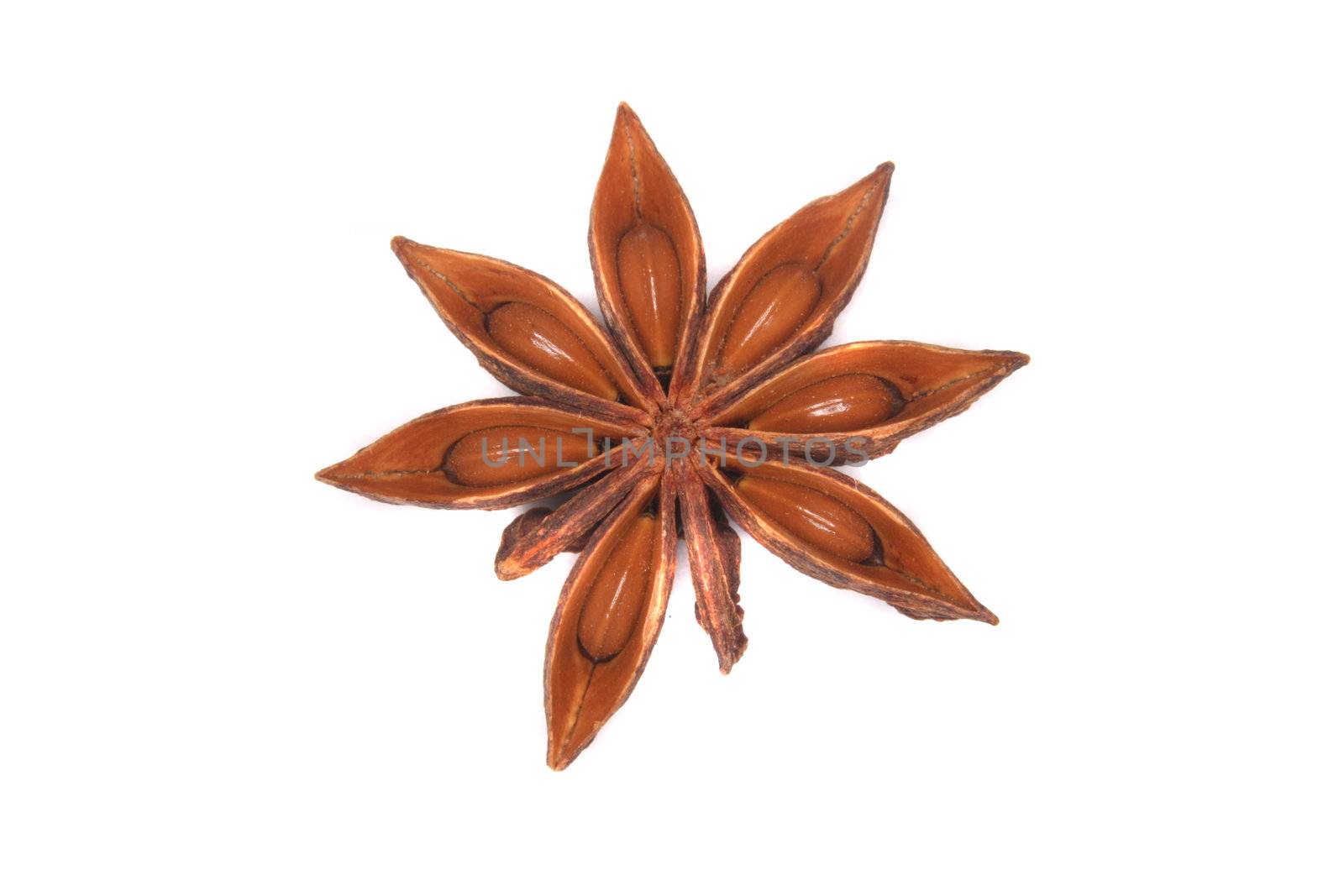 big anise star on the white background