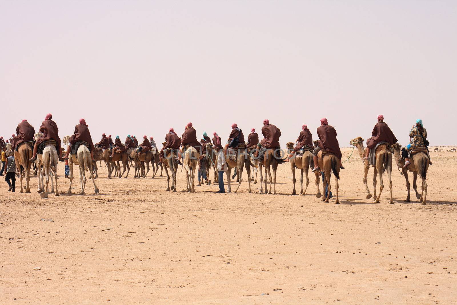 sahara with camels and people from the tunisia 
