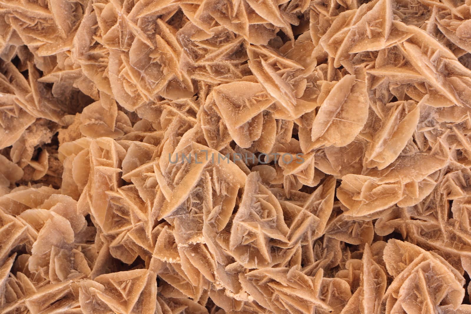 brown mineral background from the sahara roses