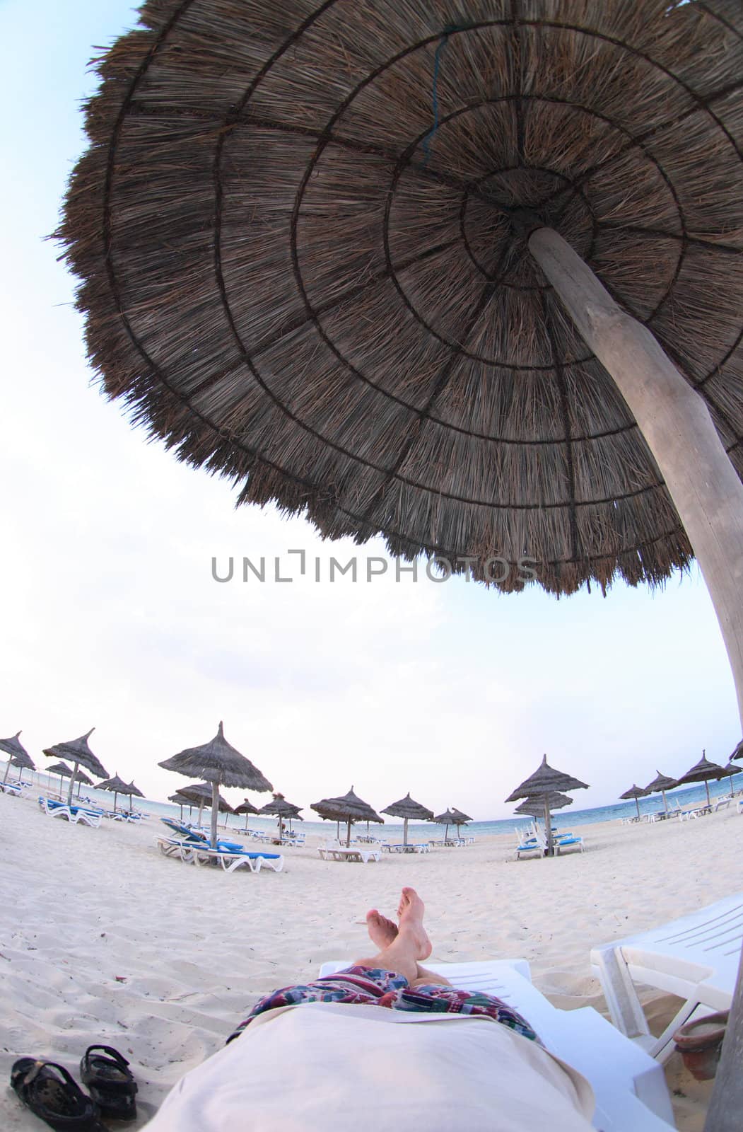 beach in the near of hotel in tunisia 