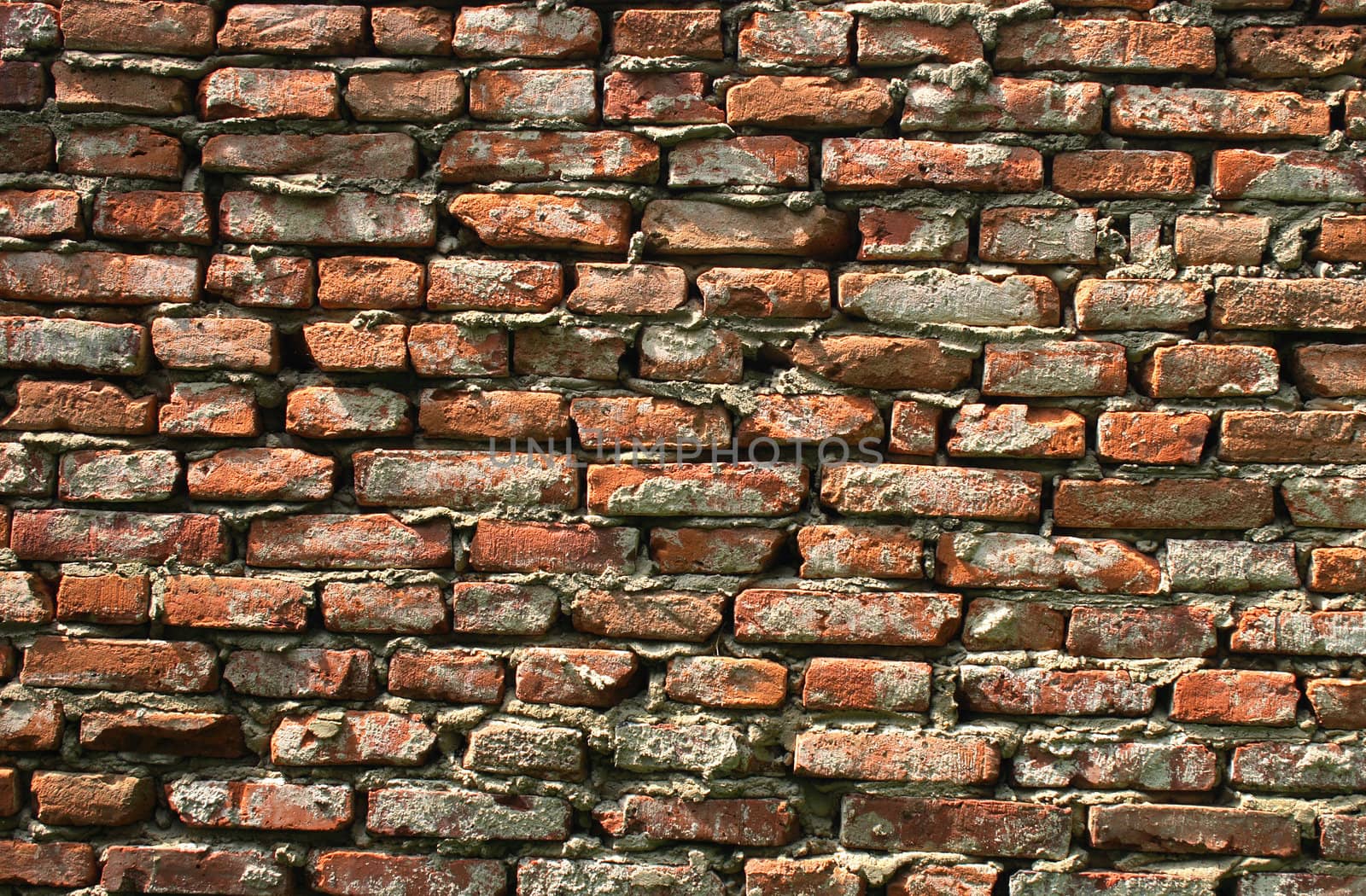 brick wall texture from the very old house 