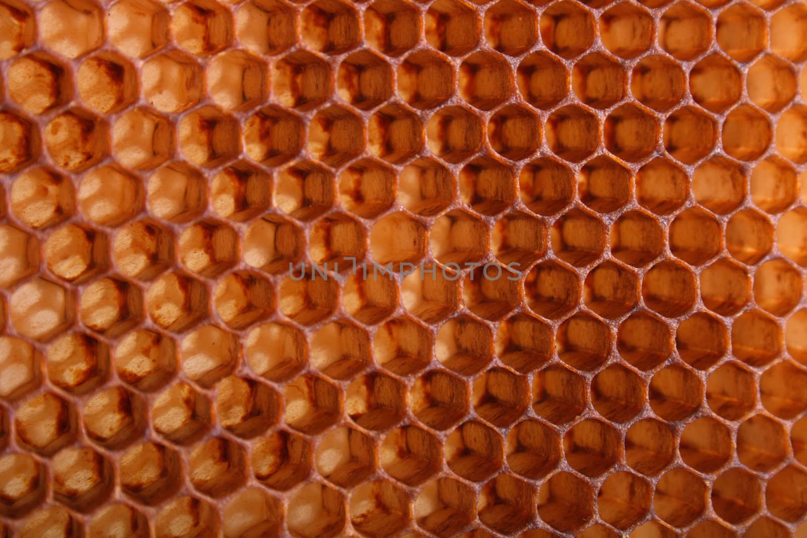 nice natural honey texture without honey