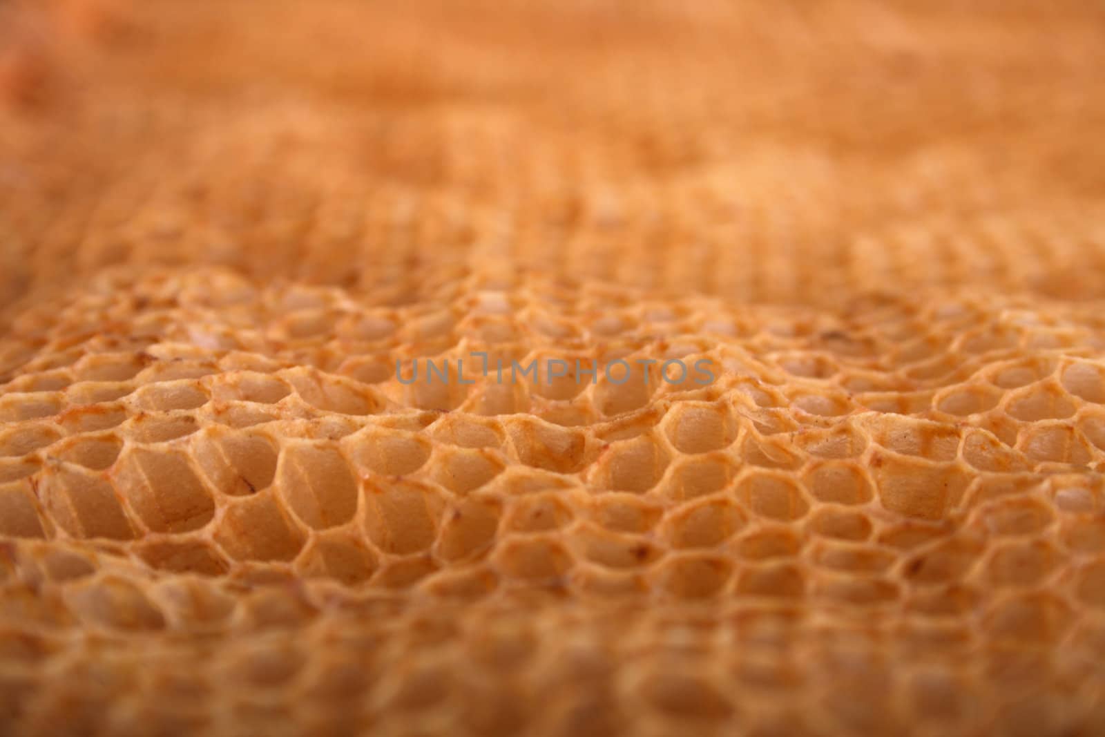 natural honey texture without honey (abstract background)