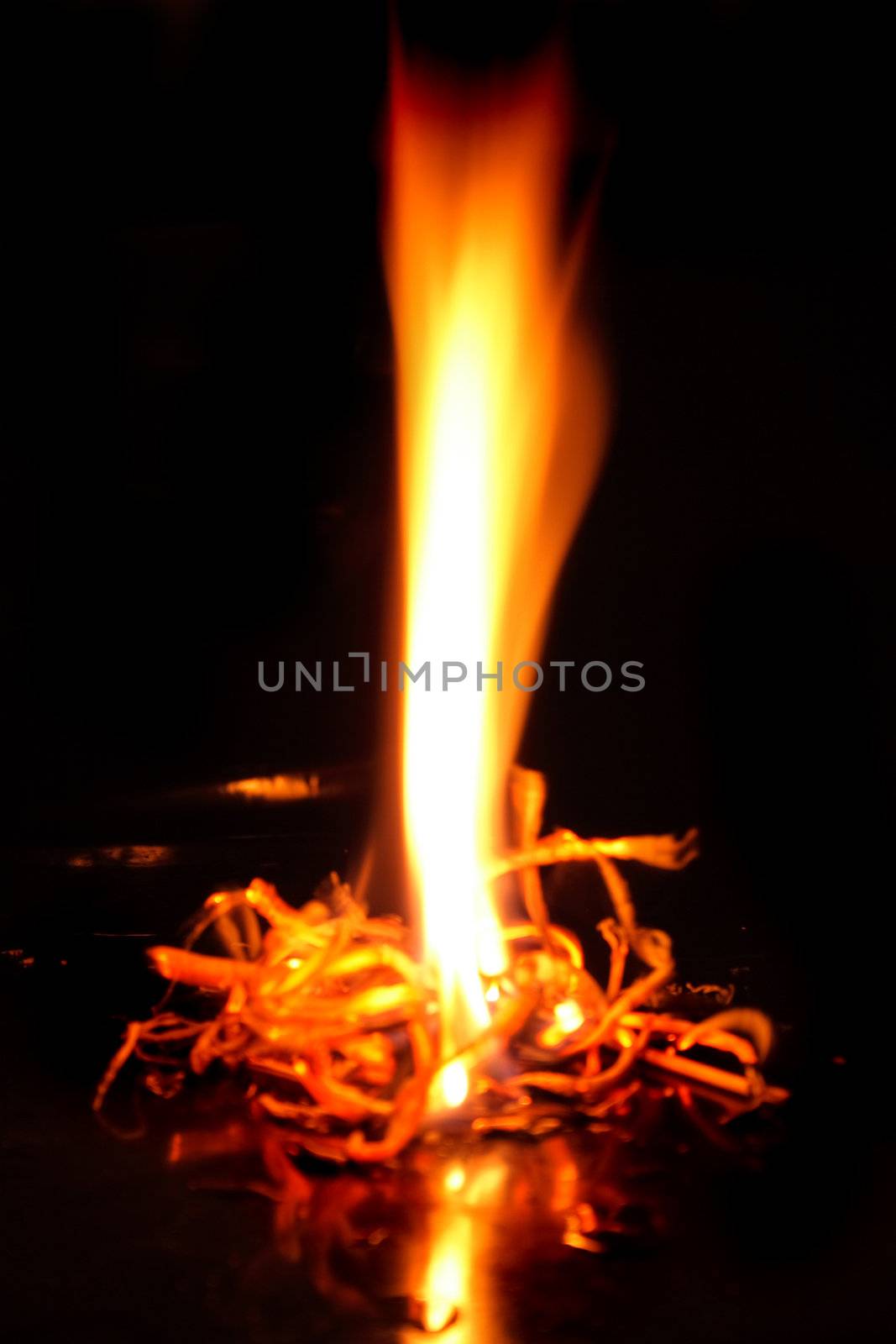 yellow natural fire on the black background