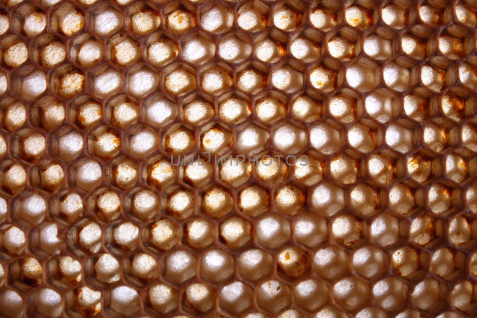 natural honey texture without honey (abstract background)