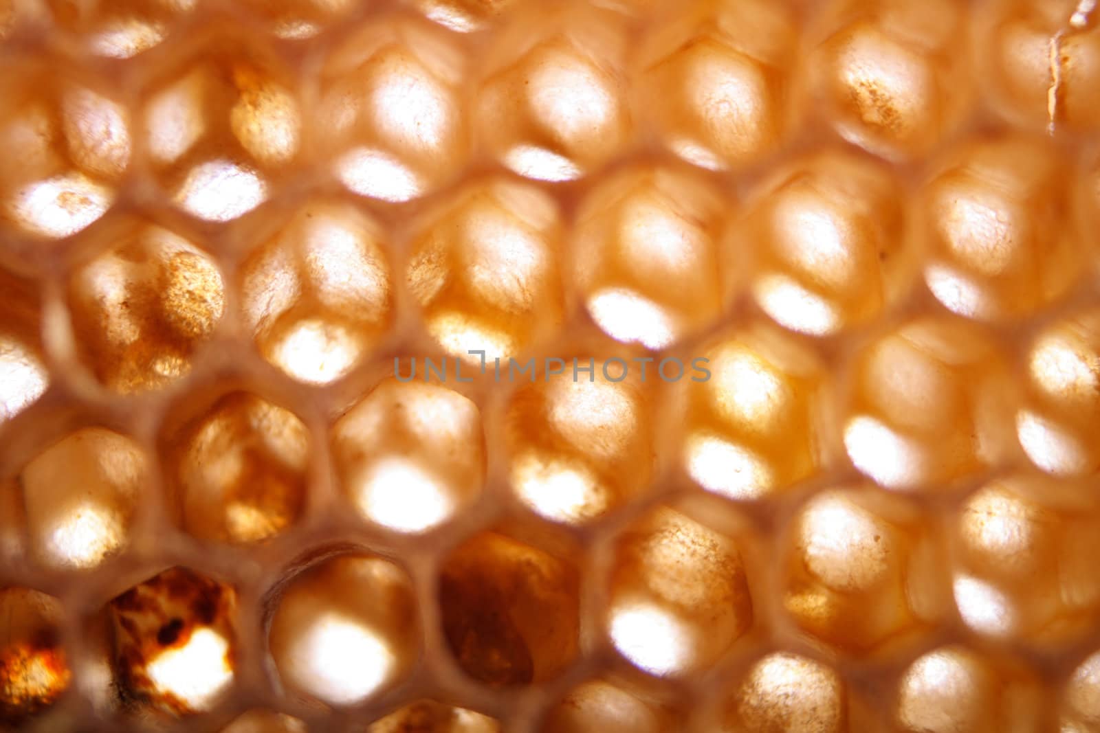 natural honey texture without honey (abstract background)