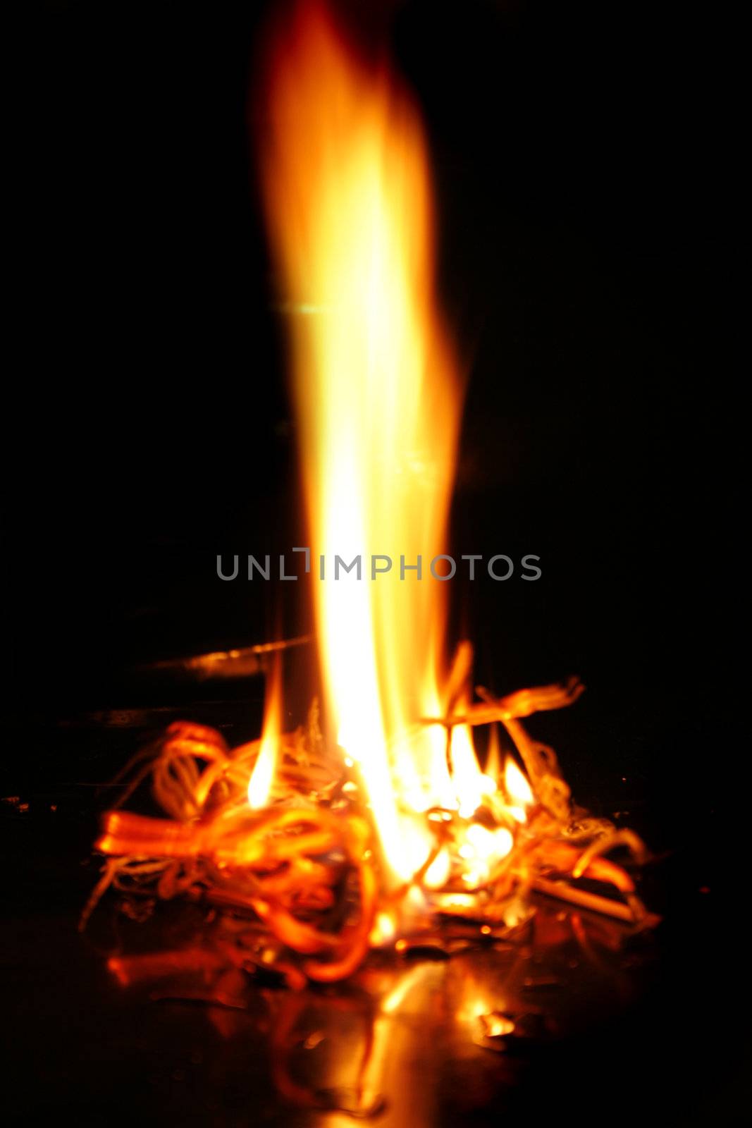 yellow natural fire on the black background