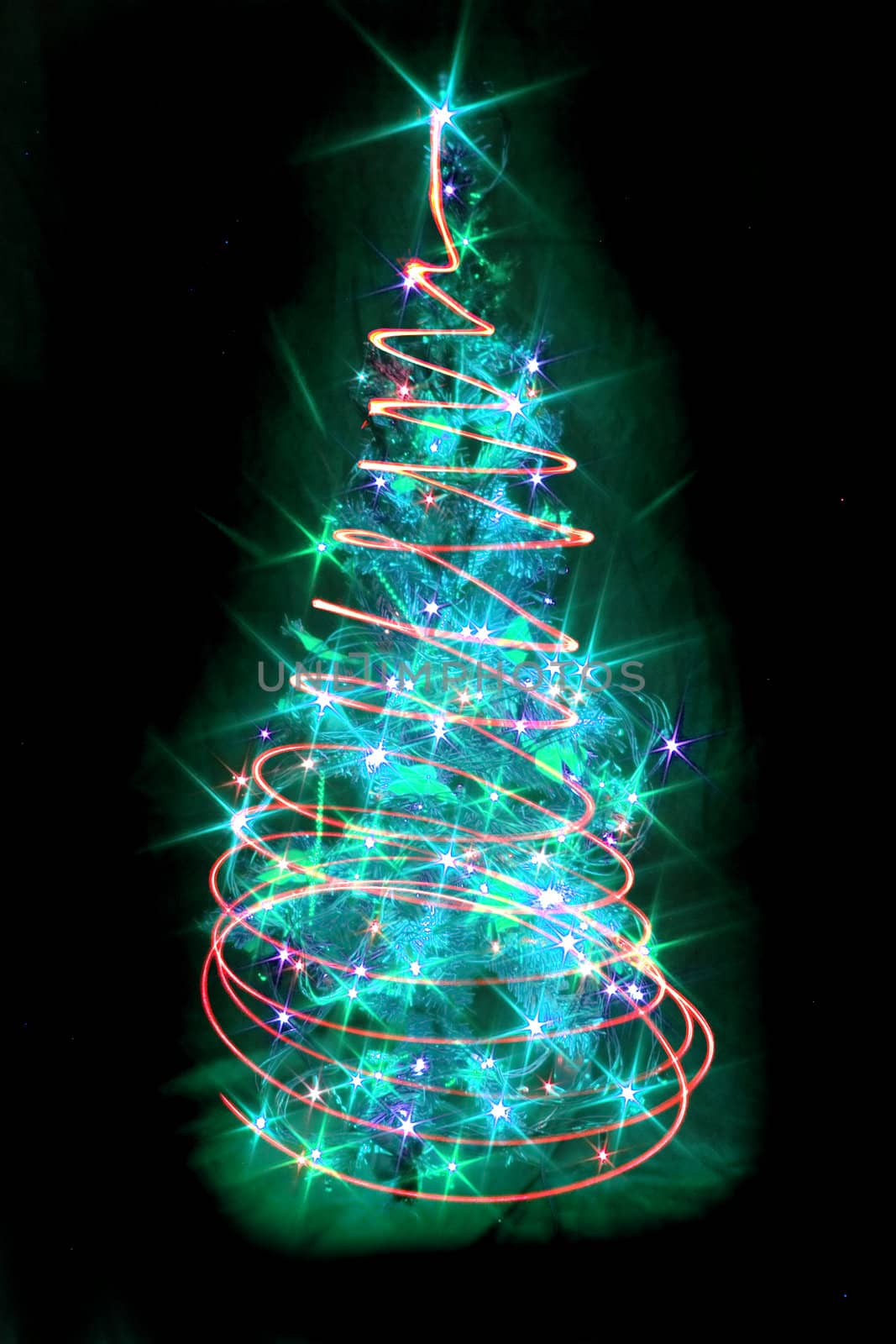xmas tree from the lights on the black background