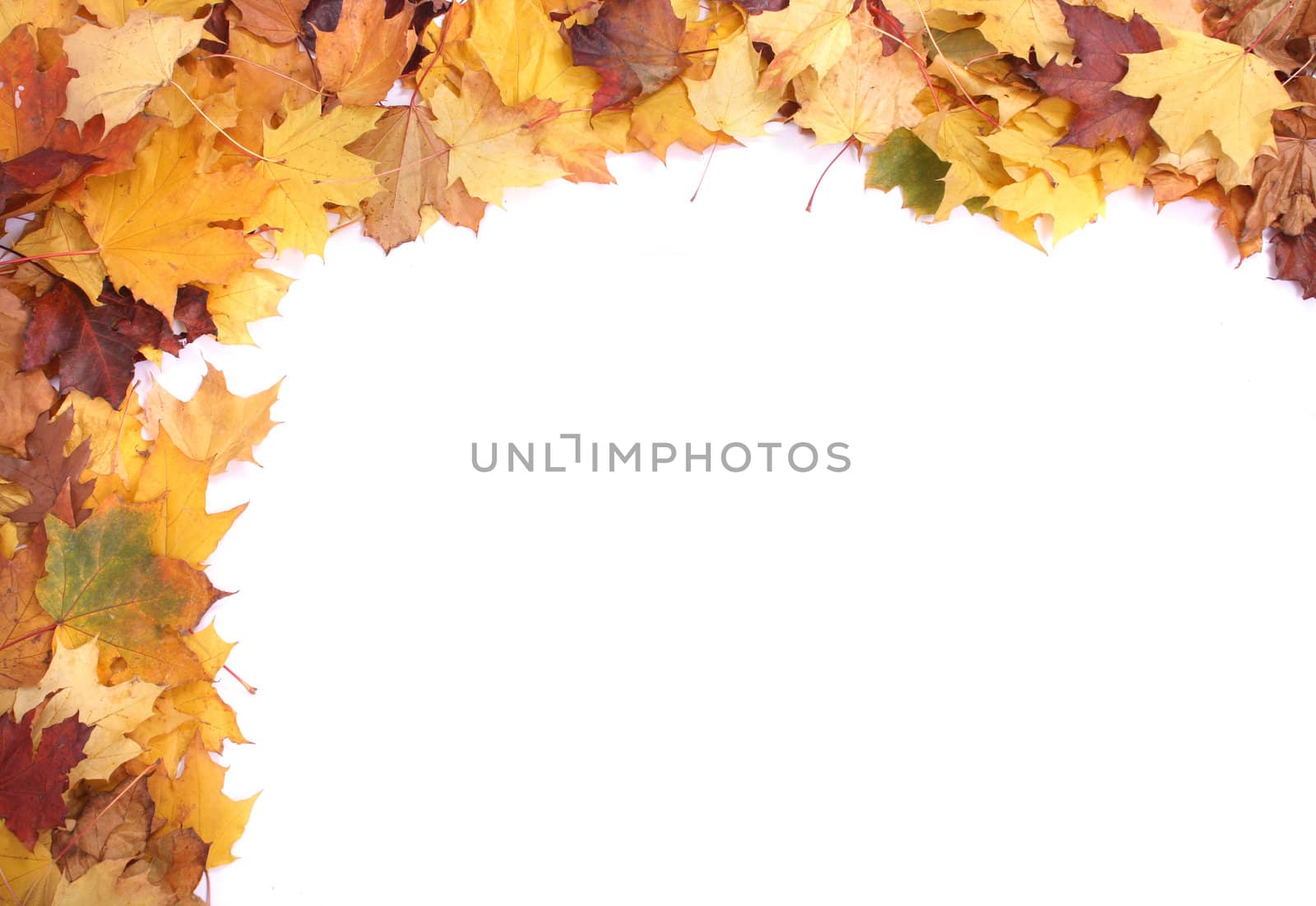 very nice yellow and brown autumnal leaves background