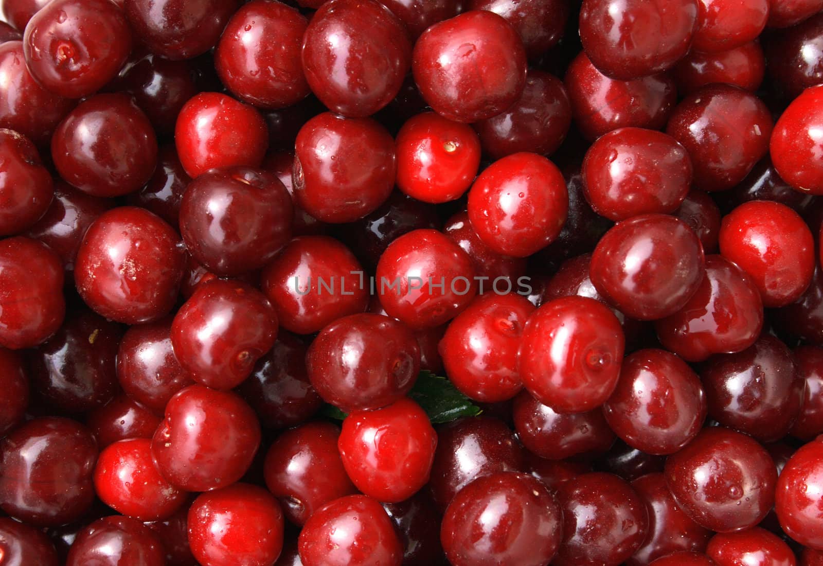 red cherries in the sun as food background