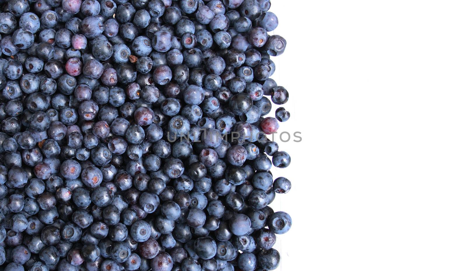very nice fresch blueberries natural food  background 
