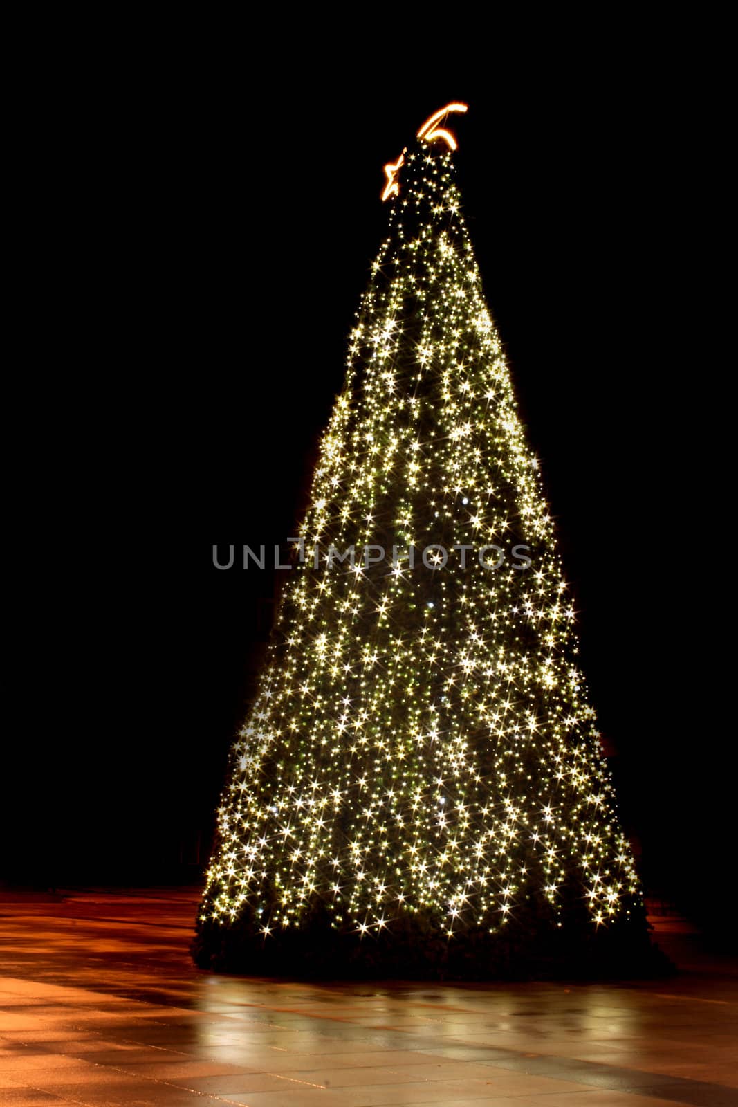 xmas tree (lights) on the black background