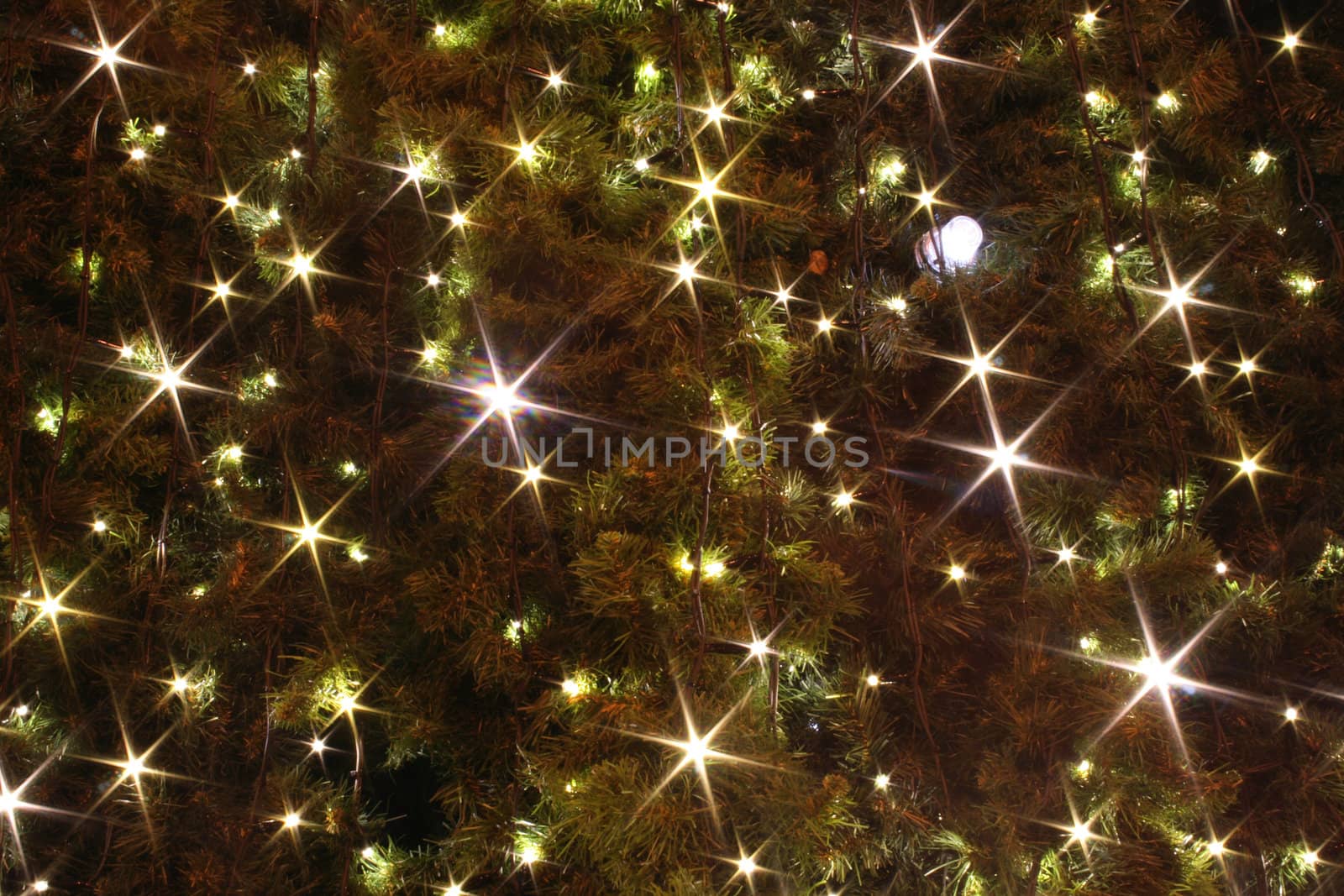 xmas tree (lights) as christmas background