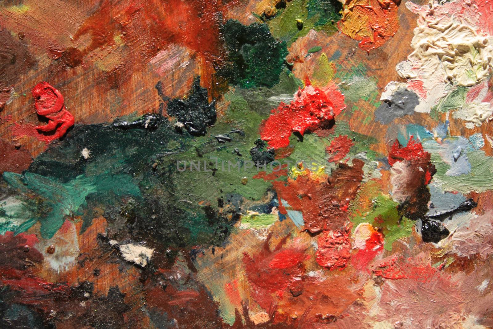 abstract color background from the oil colors 