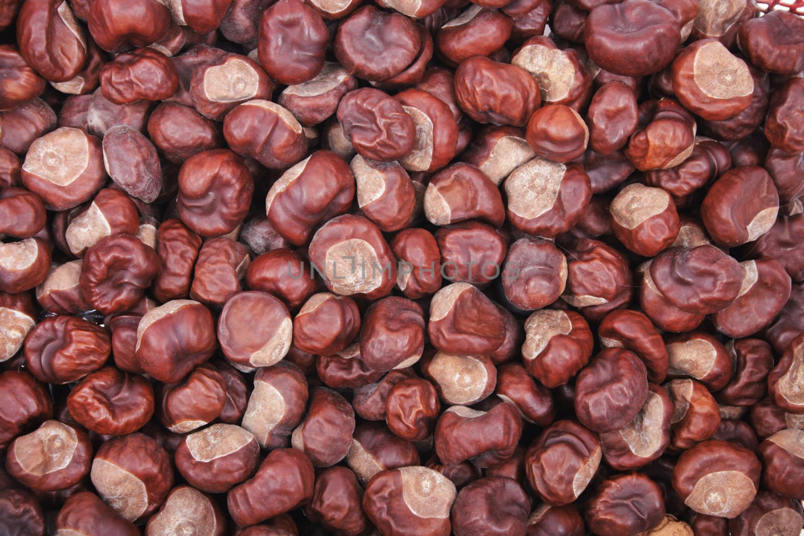 brown chestnuts as great autumnal nature background
