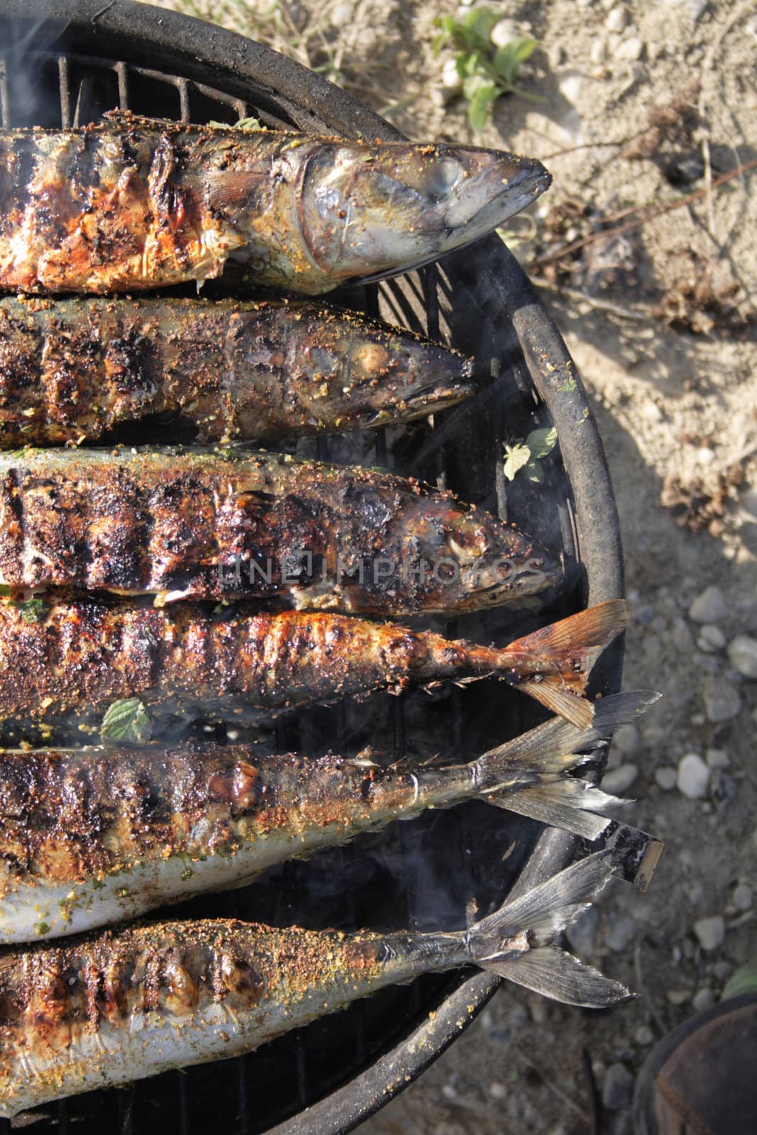 fresh grilled fishes as natural food background