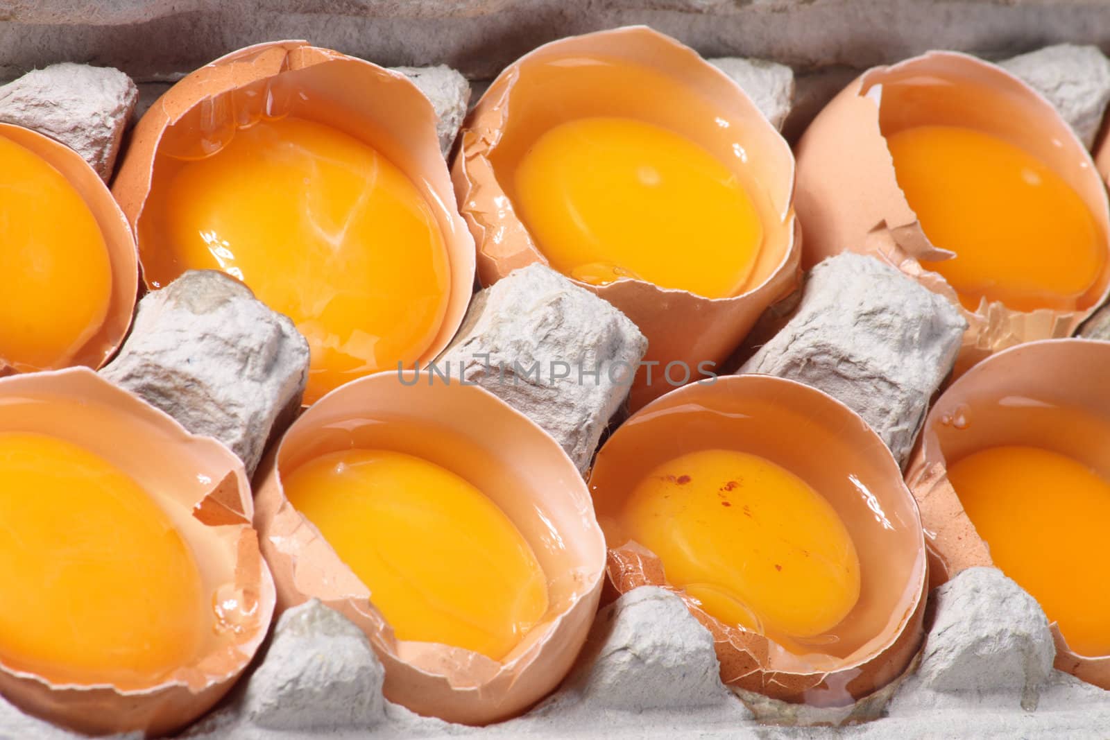 fresh open eggs as natural food background
