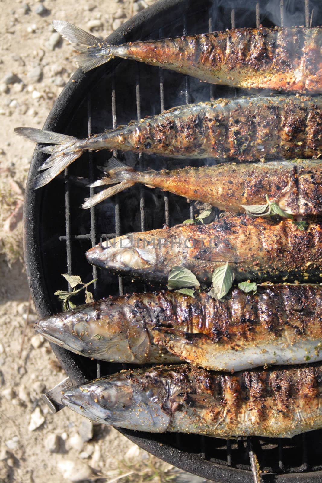 fresh grilled fishes as natural food background