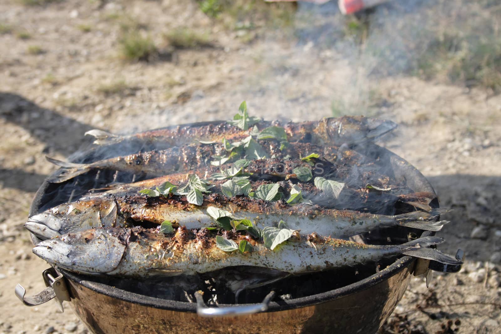 fresh grilled fishes as natural food background