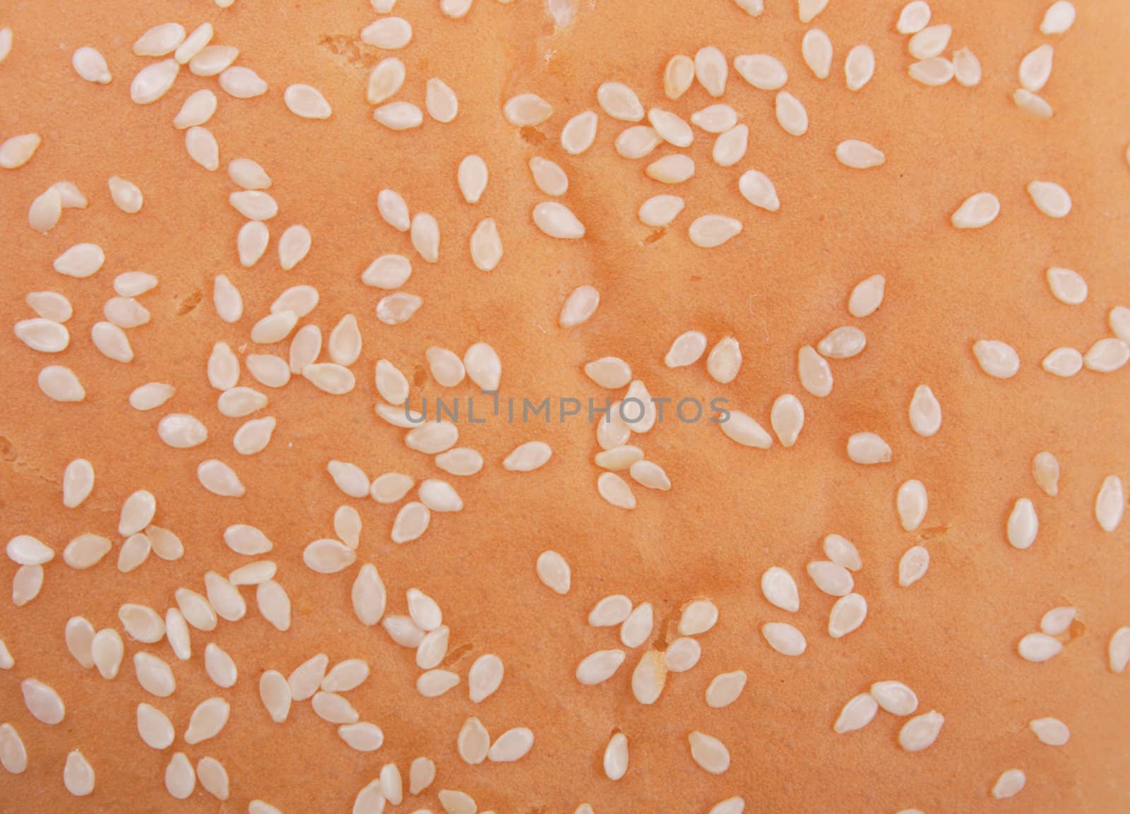 hamburger with sesame seeds as nice food background 