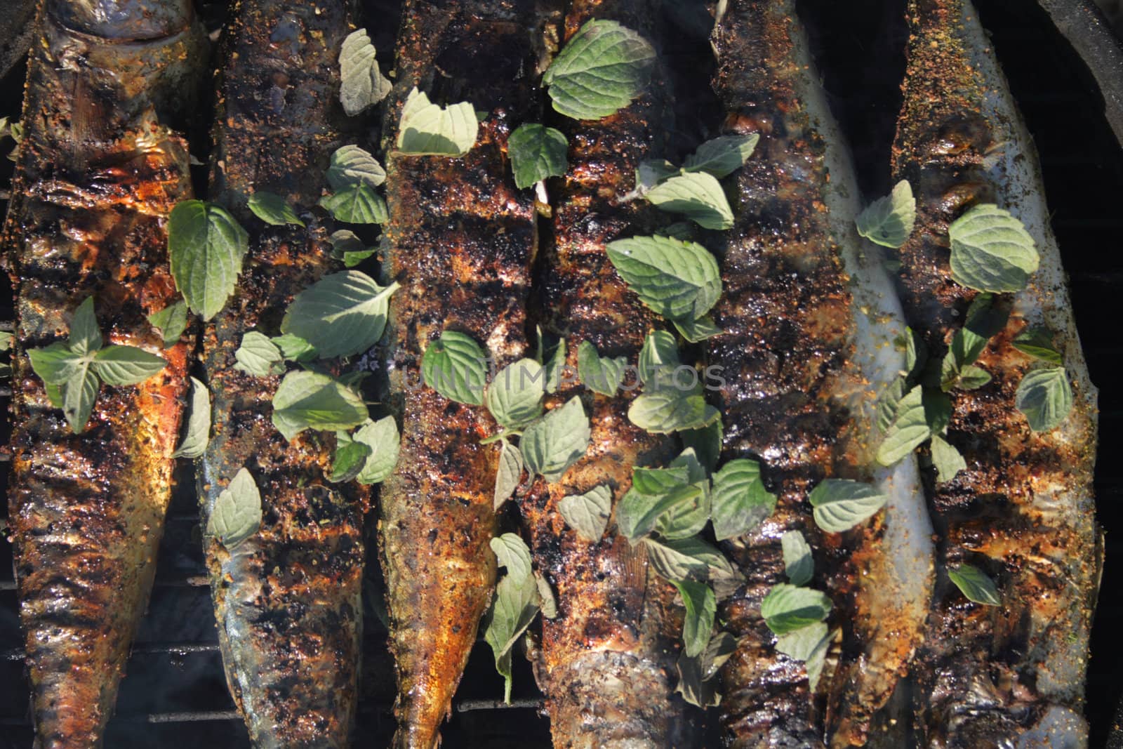 fresh grilled fishes as natural food background