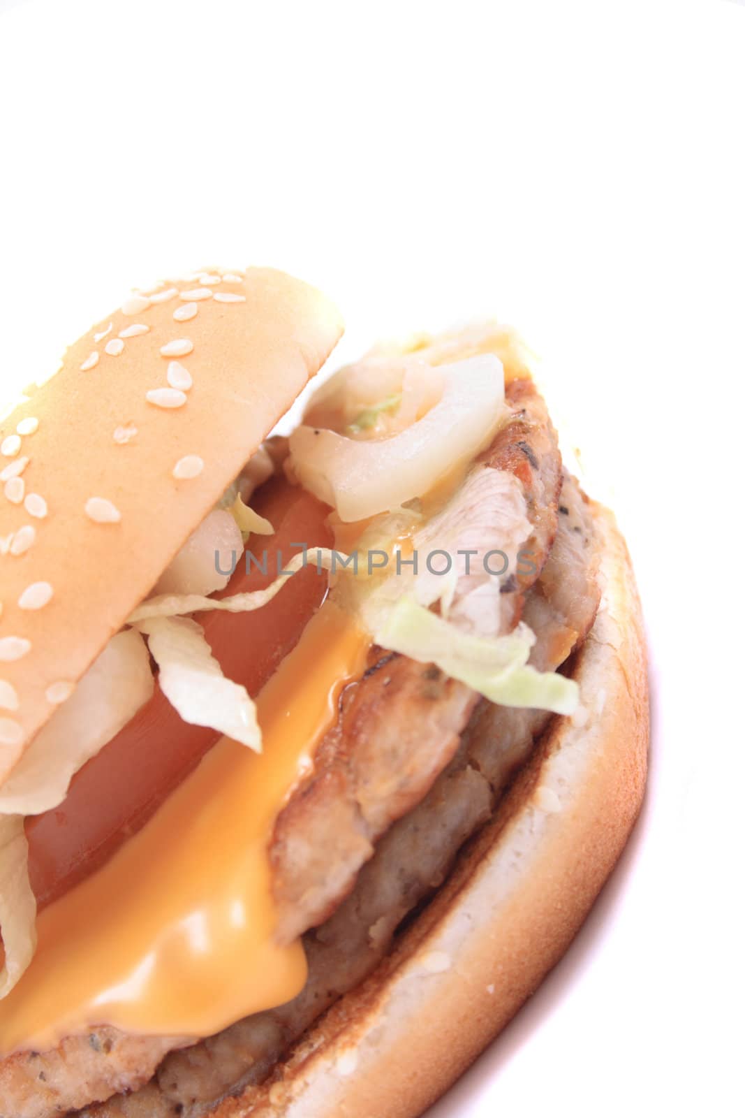 fresh hamburger isolated on the white background