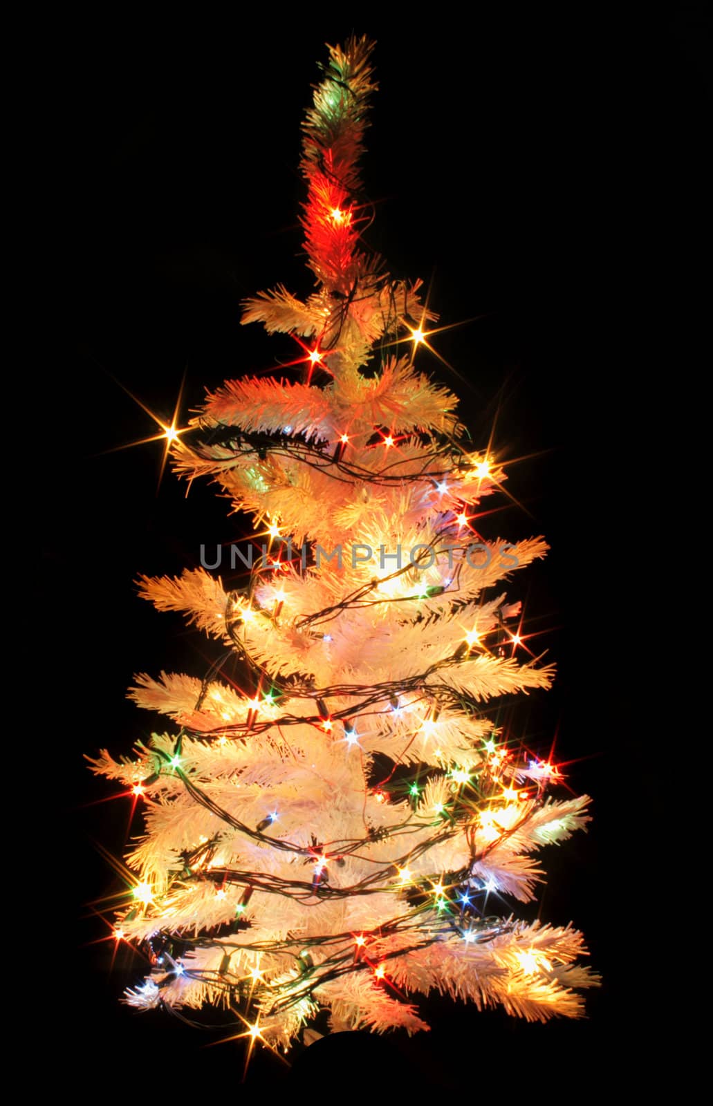 white xmas tree isolated on the black background