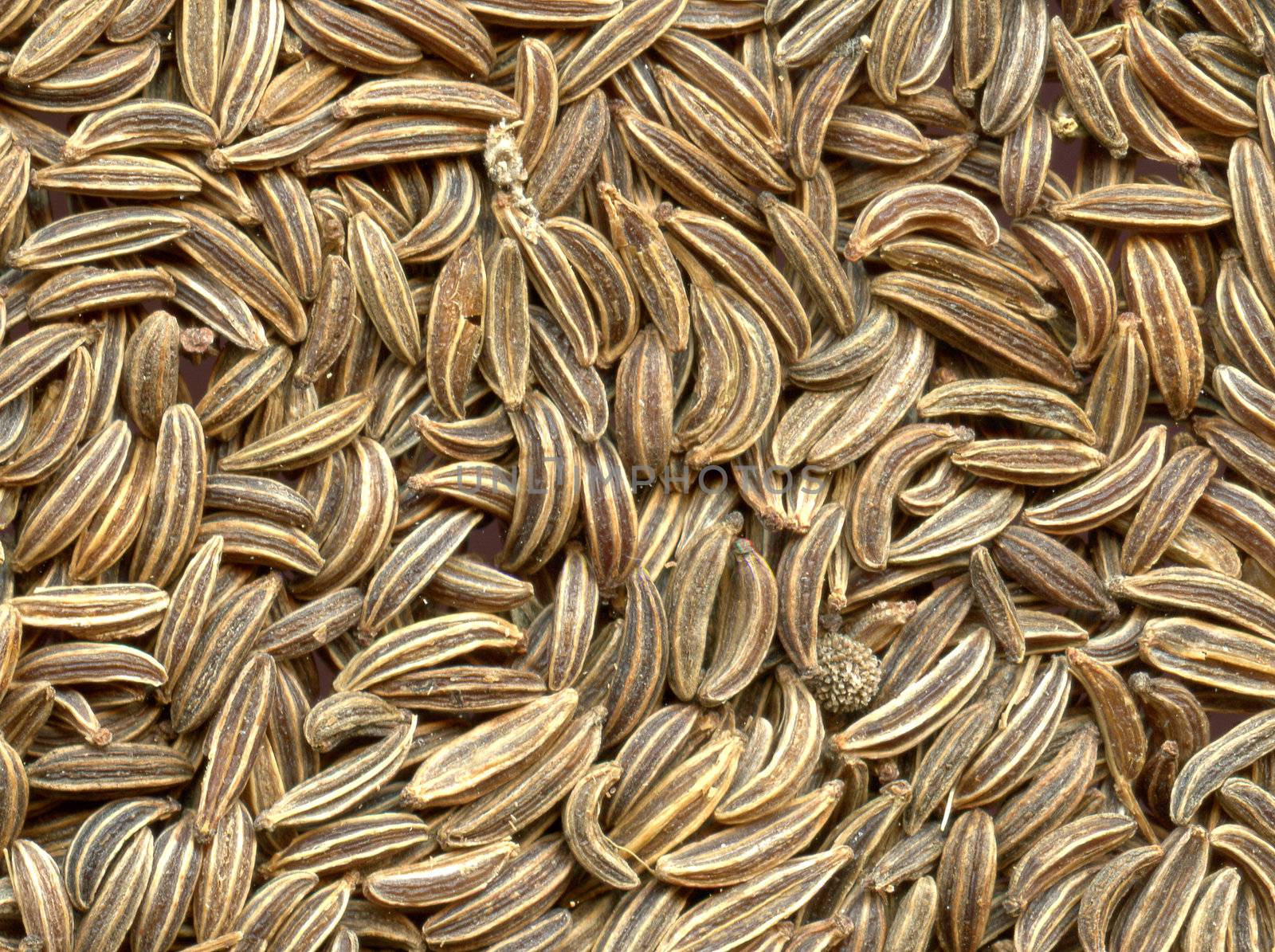 brown caraway texture as spice background