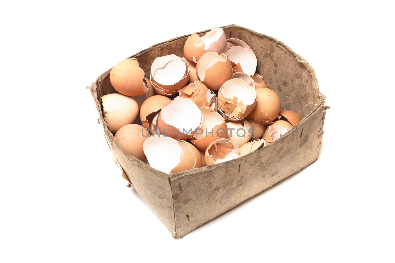 brown eggs shells on the white background