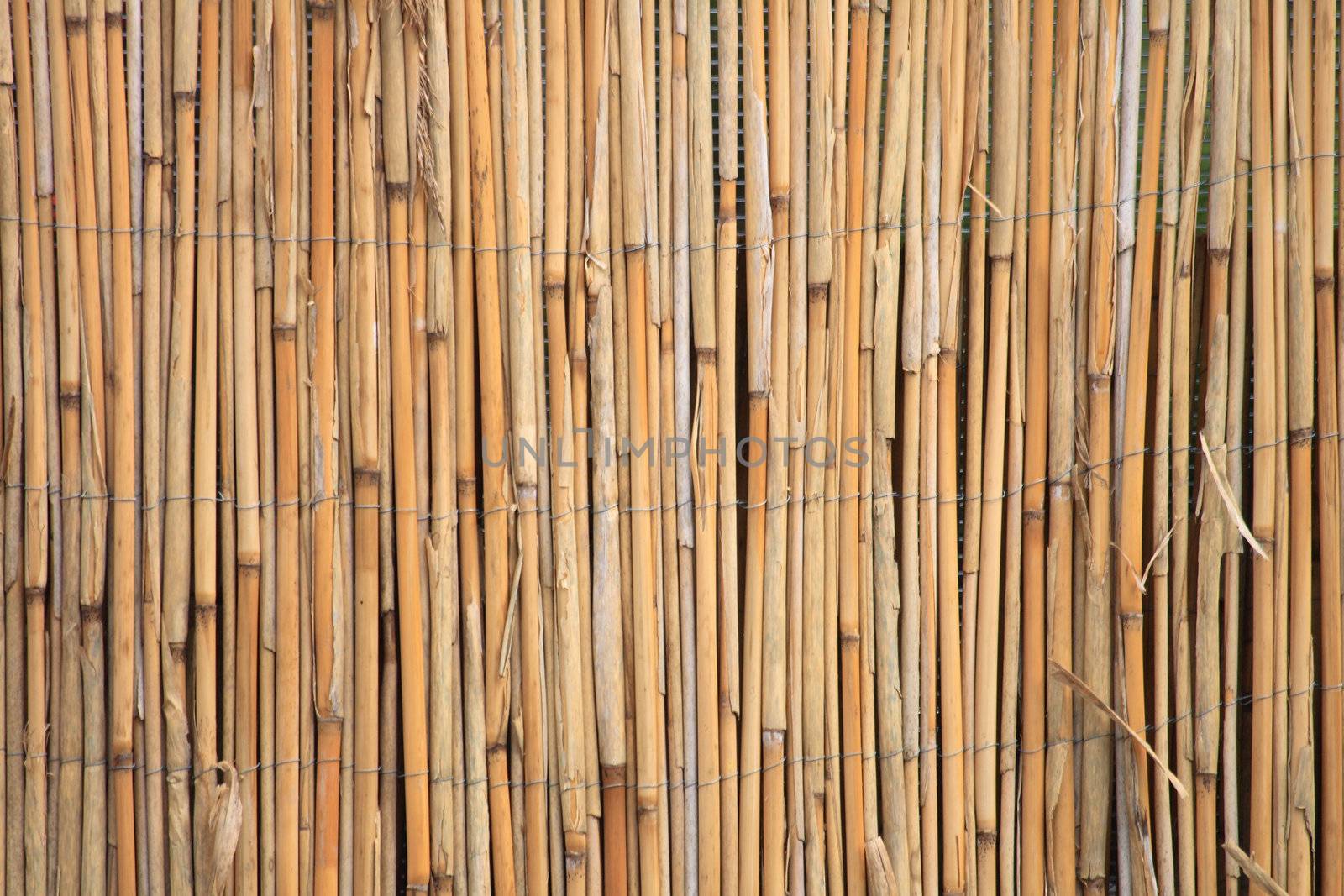 very nice and old bambus natural texture 