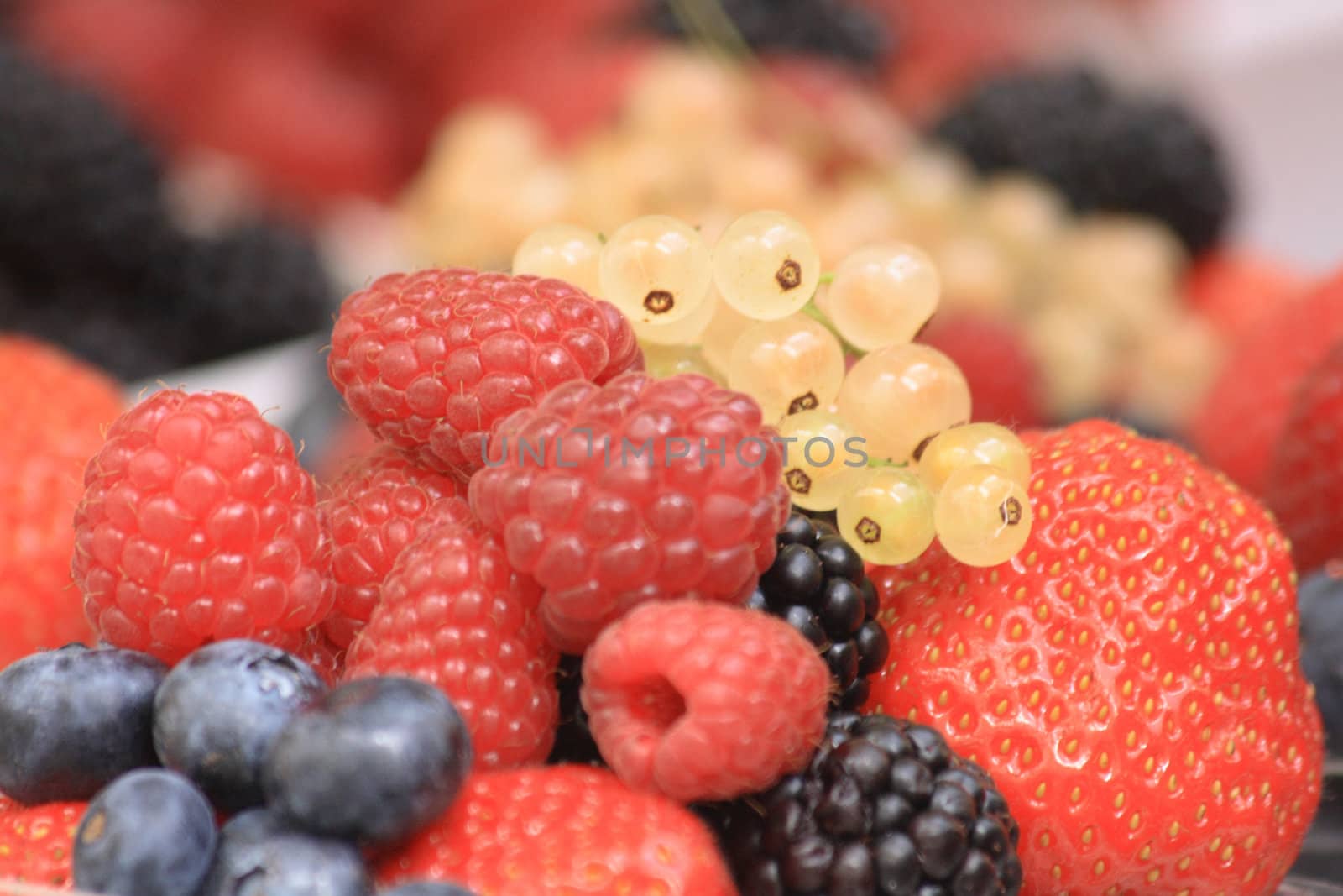 forest fruit as very nice food natural background