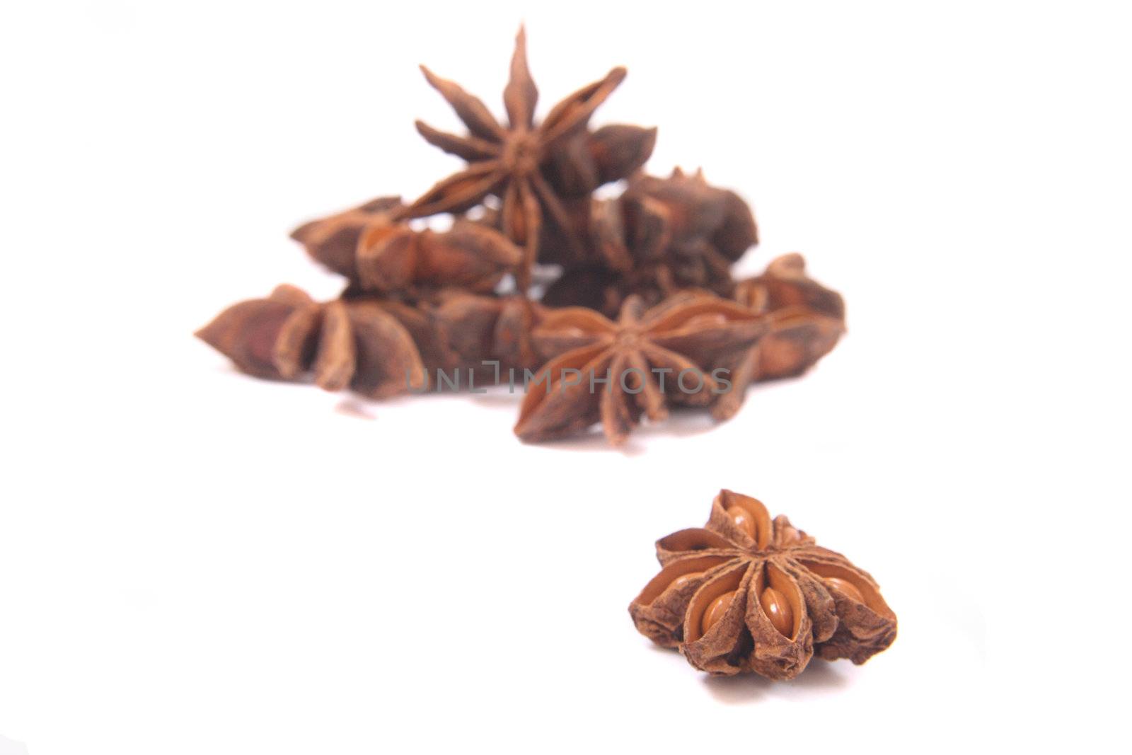 spice (anise star) on the white background