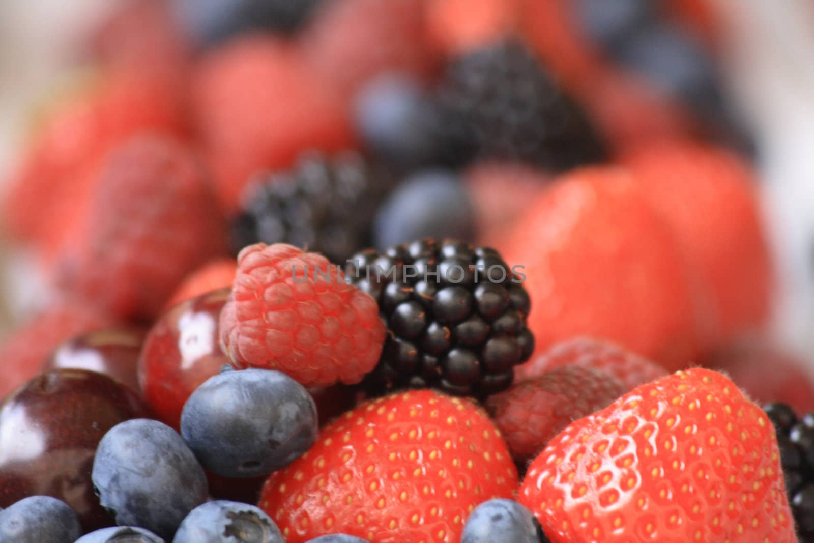 forest fruit as very nice food natural background