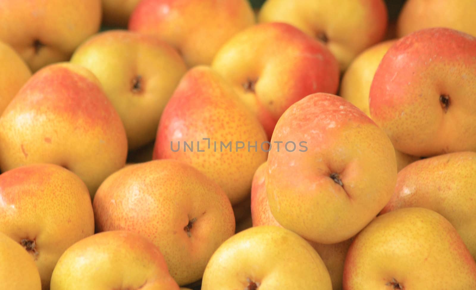 yellow pears as very nice food natural background