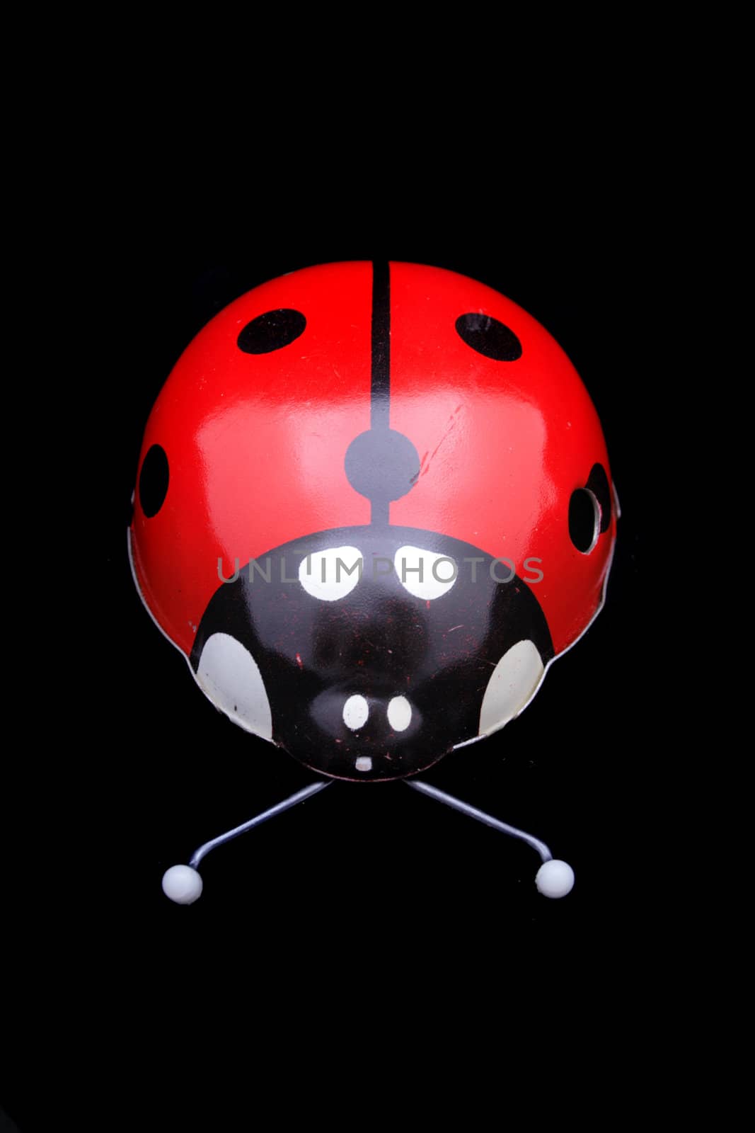 ladybug toy isolated on the black background