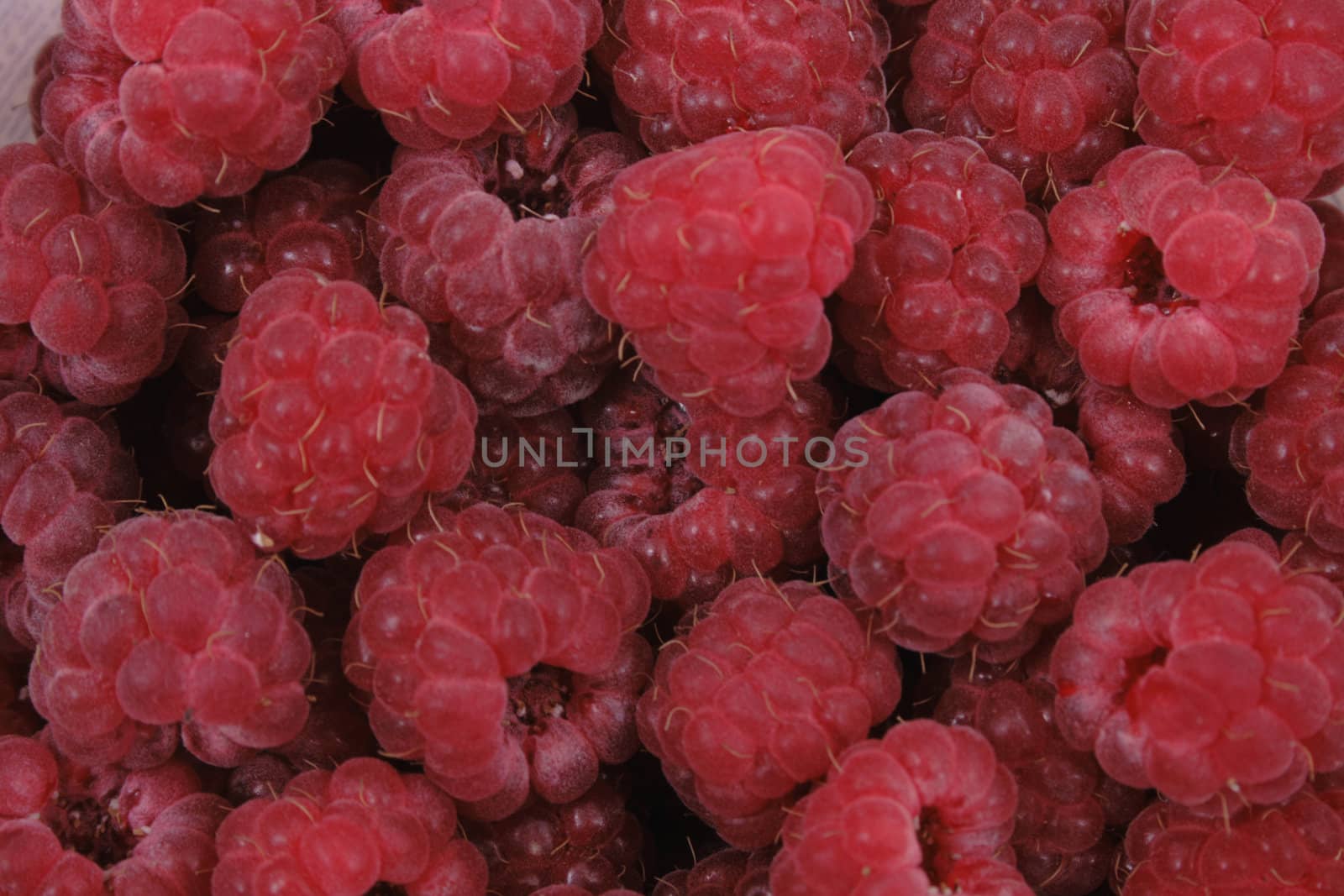 very nice dark red natural raspberries background