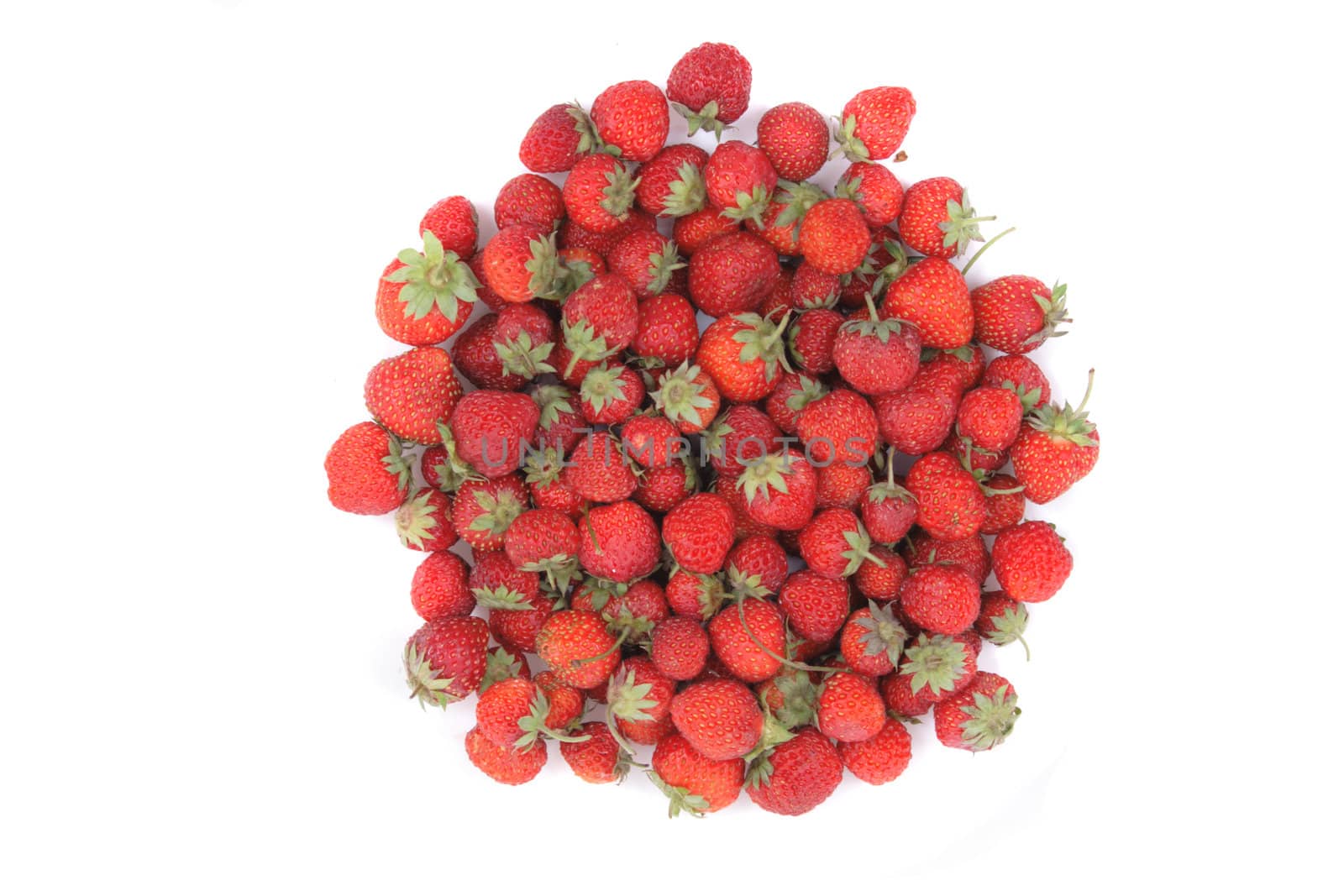 nice red strawberries on the white background