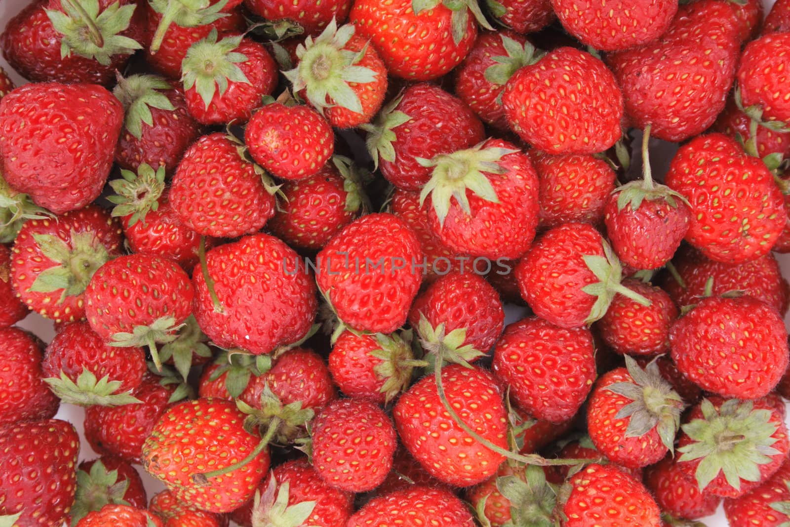 strawberries as very nice red natural food background