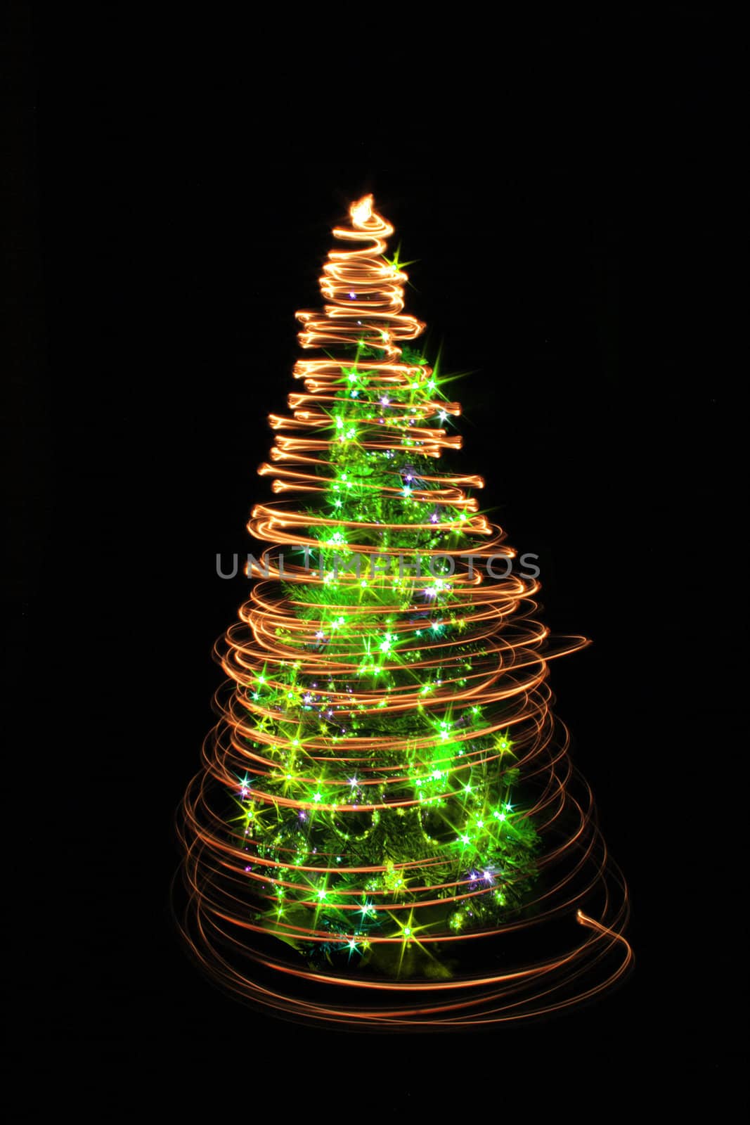 xmas tree isolated on the black background