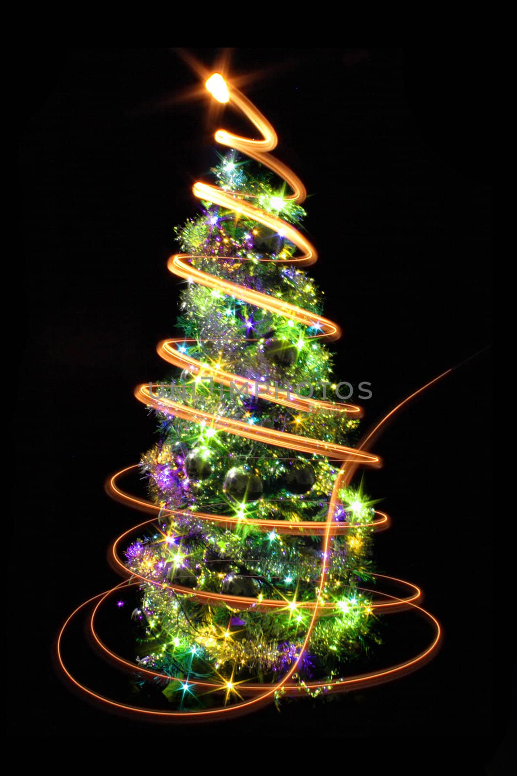 xmas tree isolated on the black background