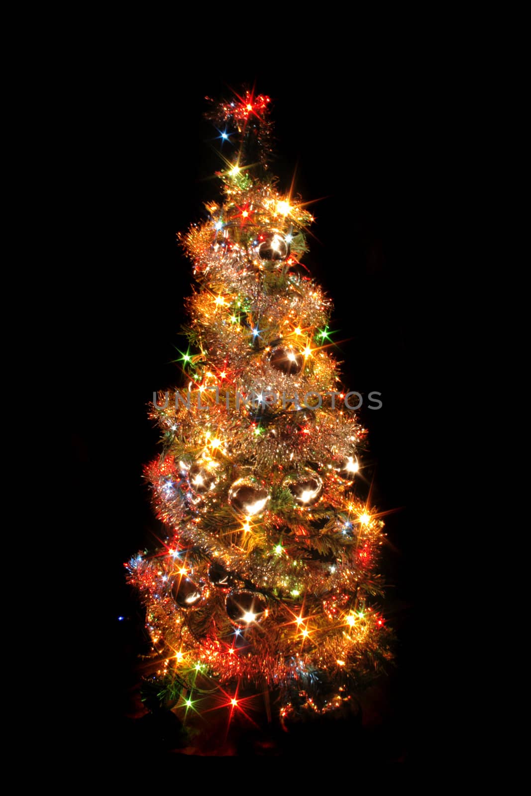 christmas tree from the color lights on the black background