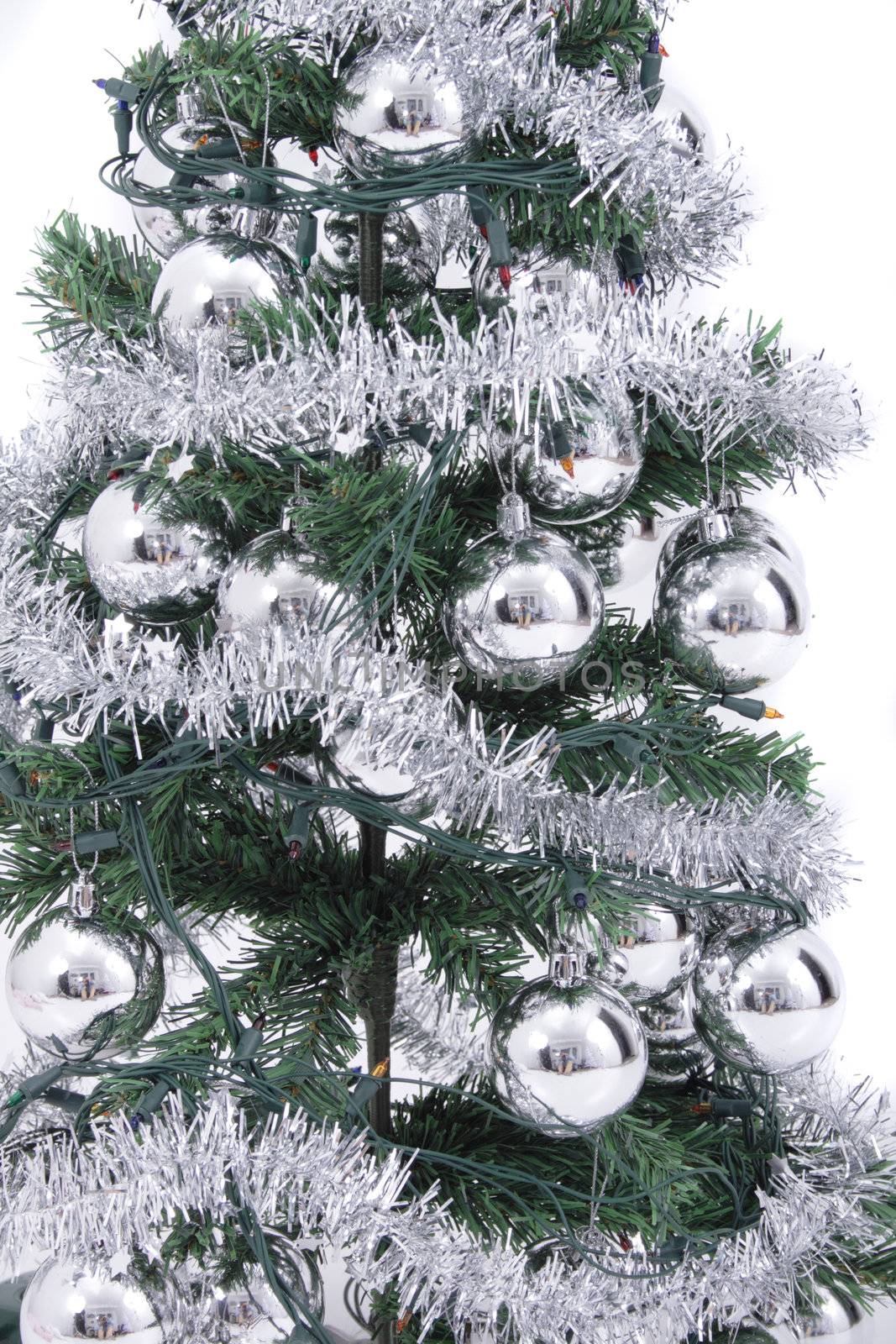 christmas tree isolated on the white background