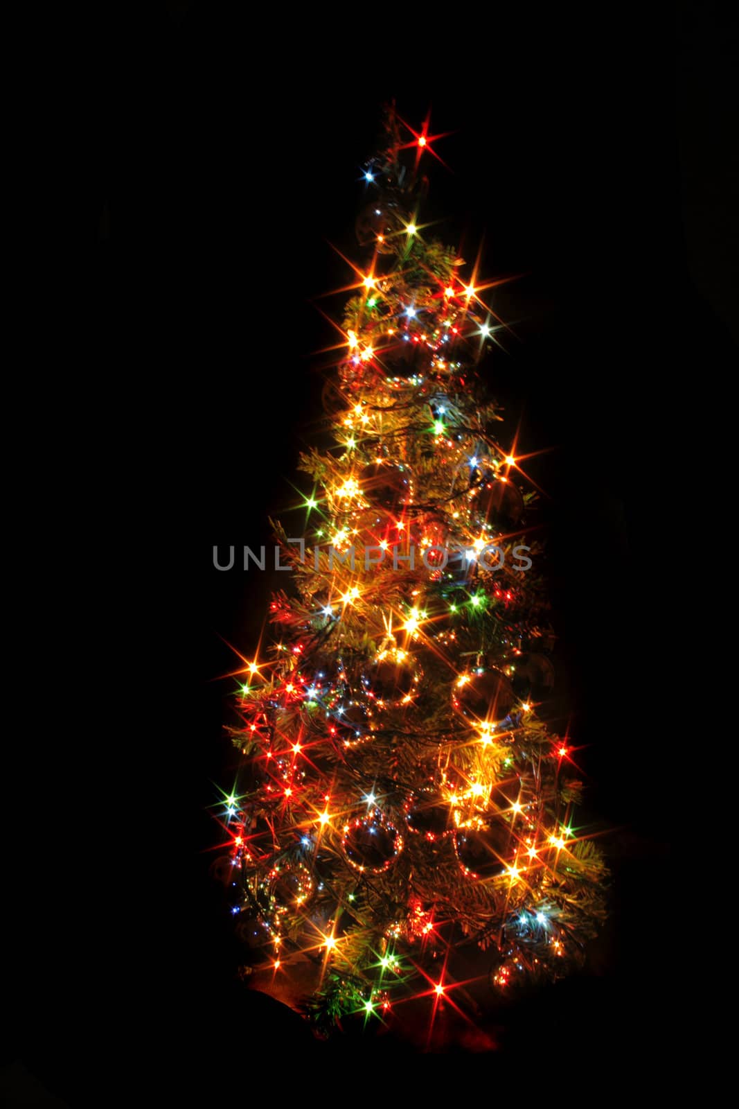 xmas tree isolated on the black background