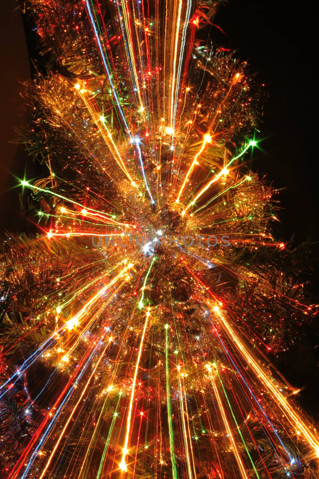 xmas tree isolated on the black background